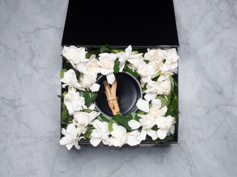 Candle Vine and Bloom Gardenia box