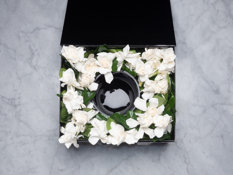 Vine and Bloom Gardenia box