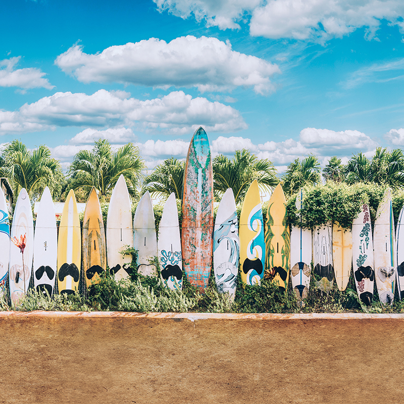 Escape to the Sunshine Escape the winter with our perfect packing lists for a warm weather getaway.