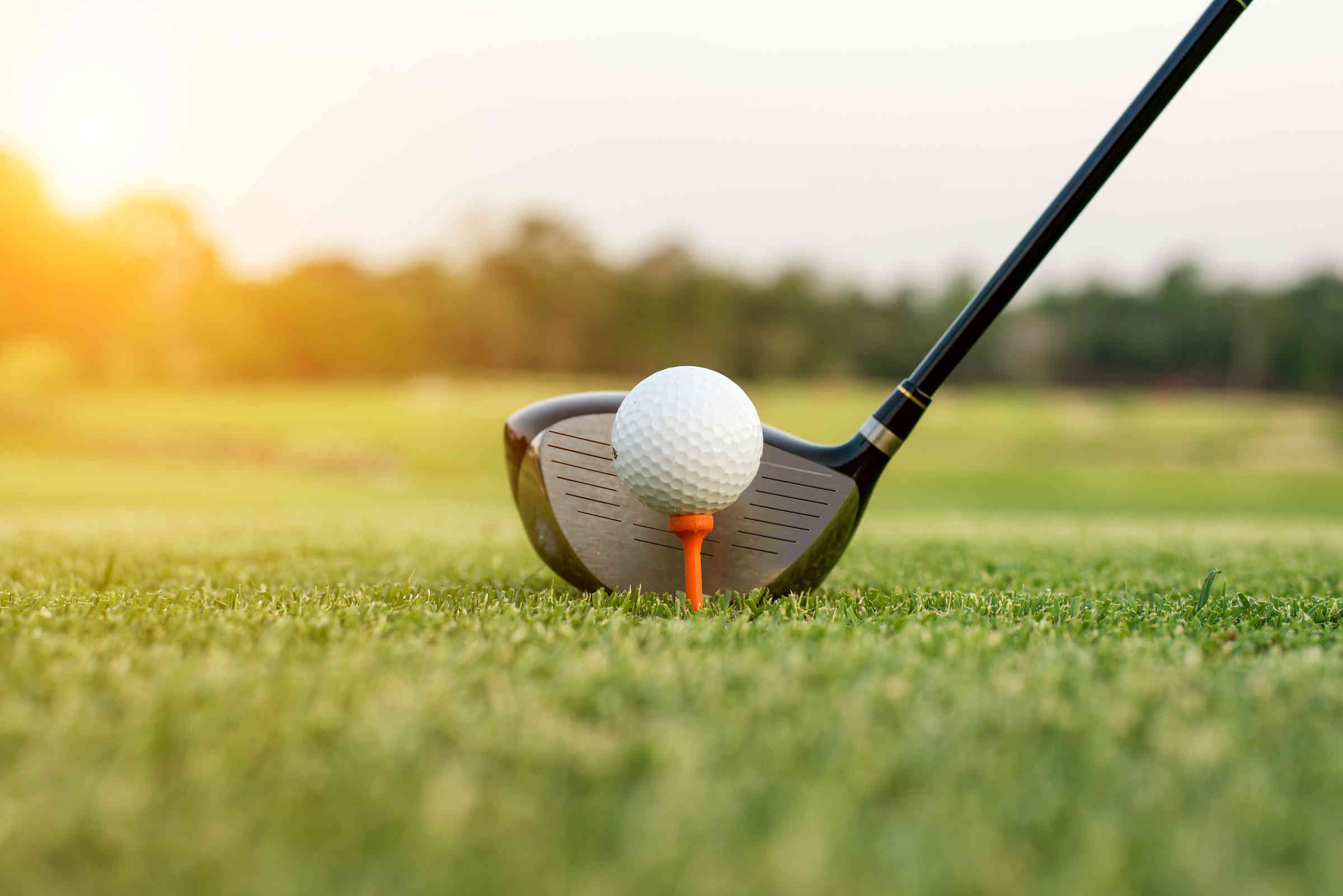 Golf CLub Golf CLub