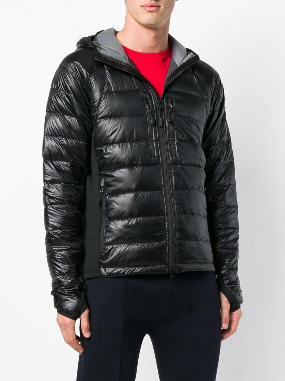canada goose hybridge black
