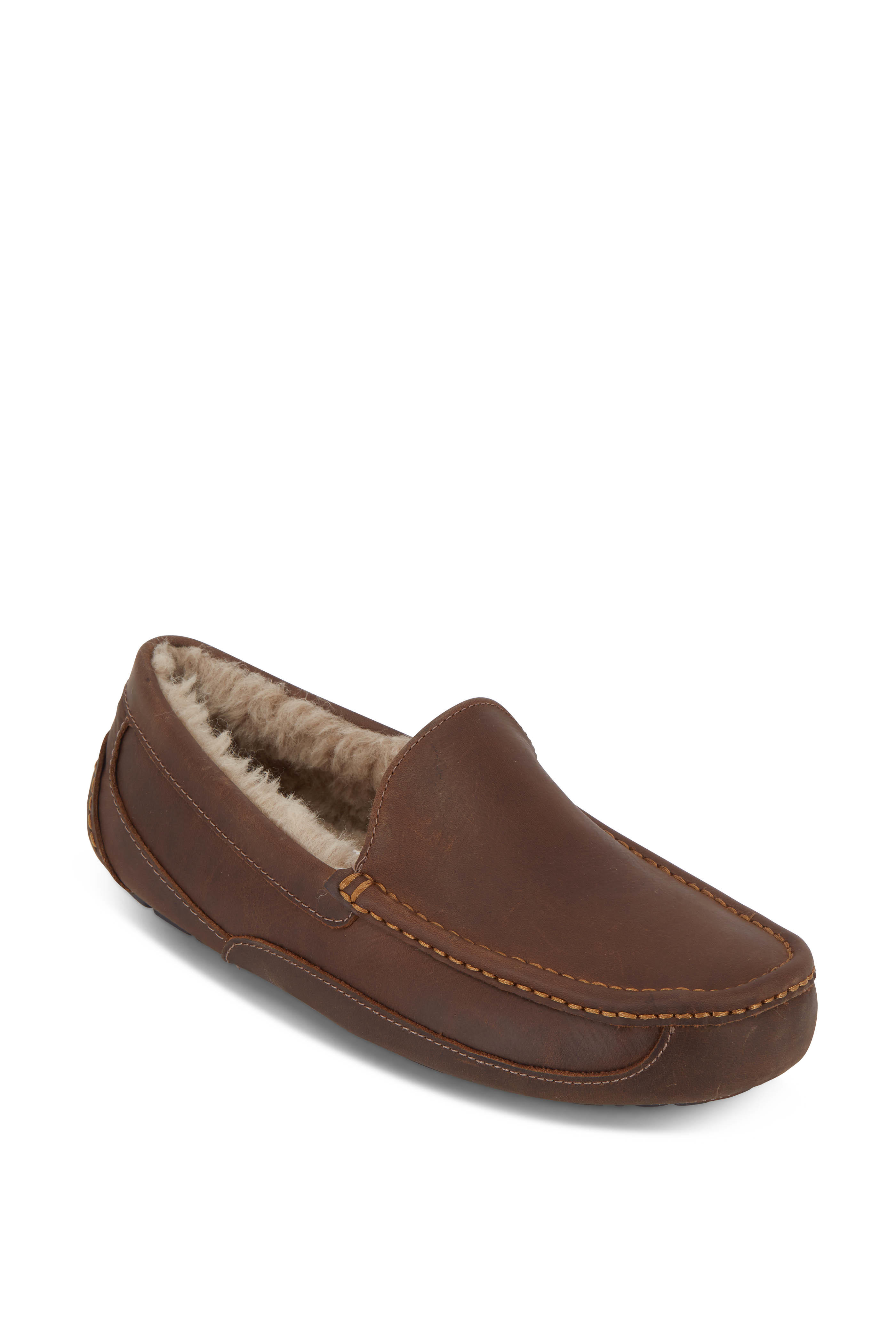 ascot uggpure