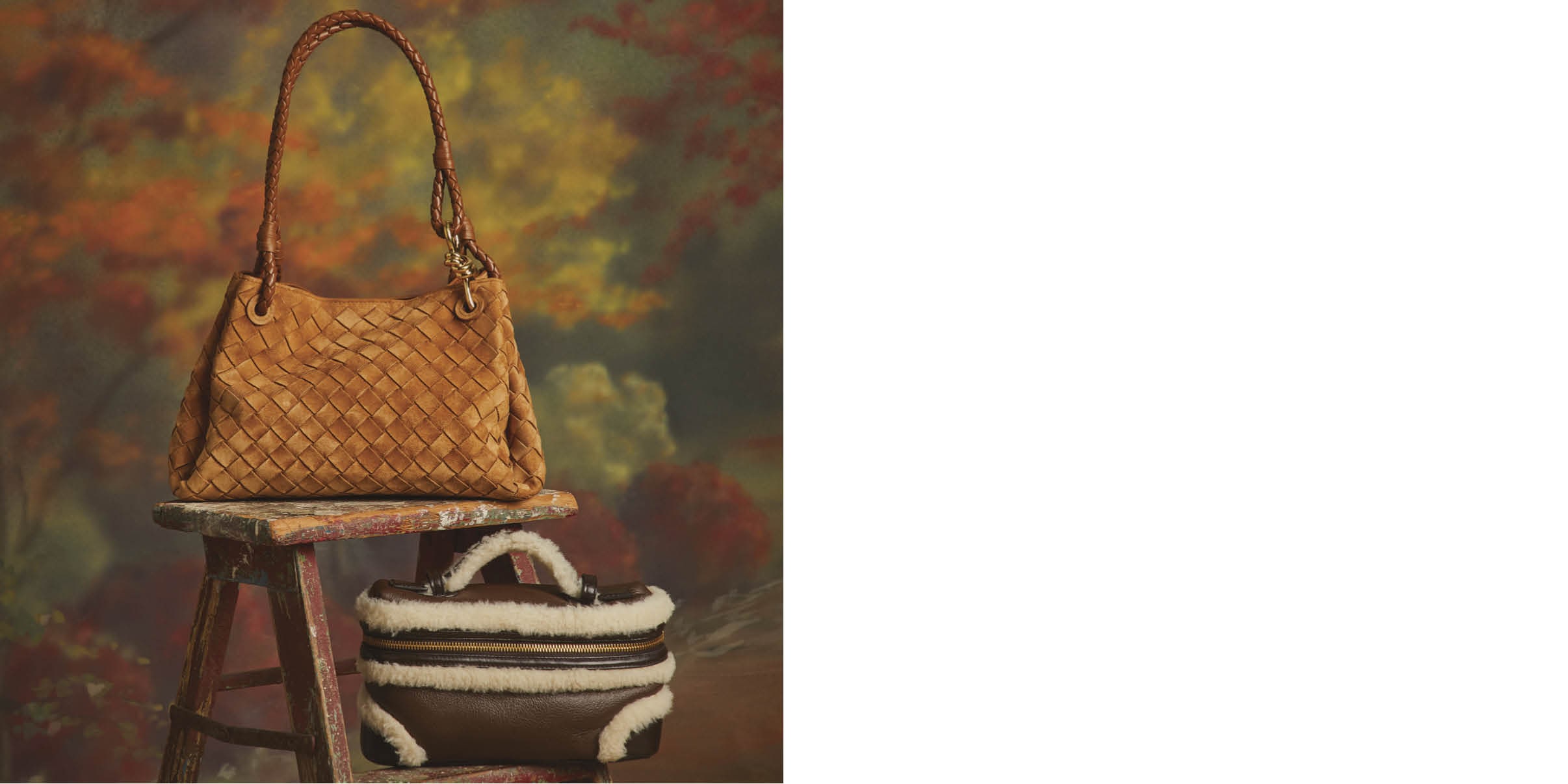 Bottega Veneta Designer Handbag Collection