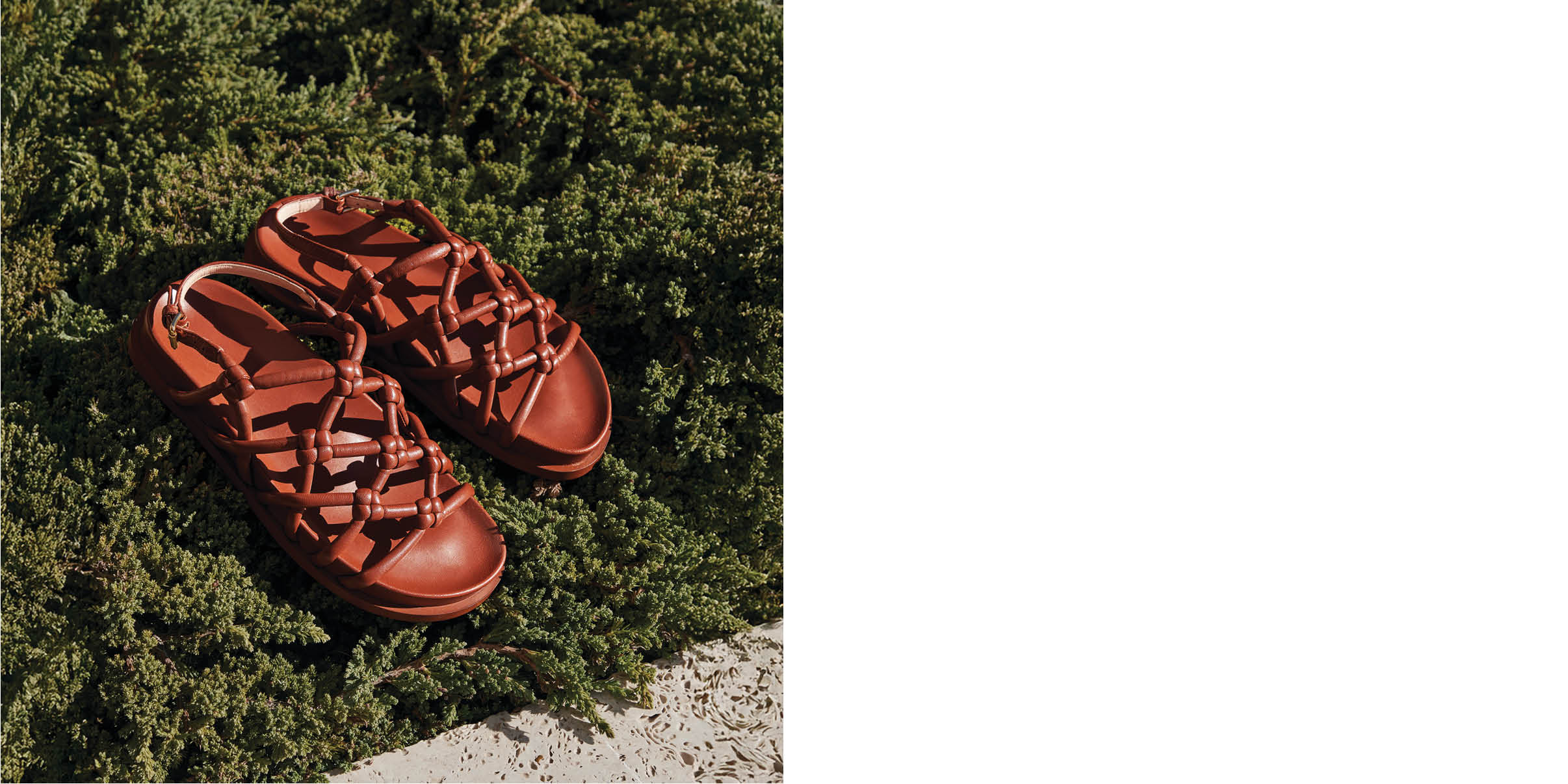 AGL Designer Shoe Collection AGL Designer Shoe Collection