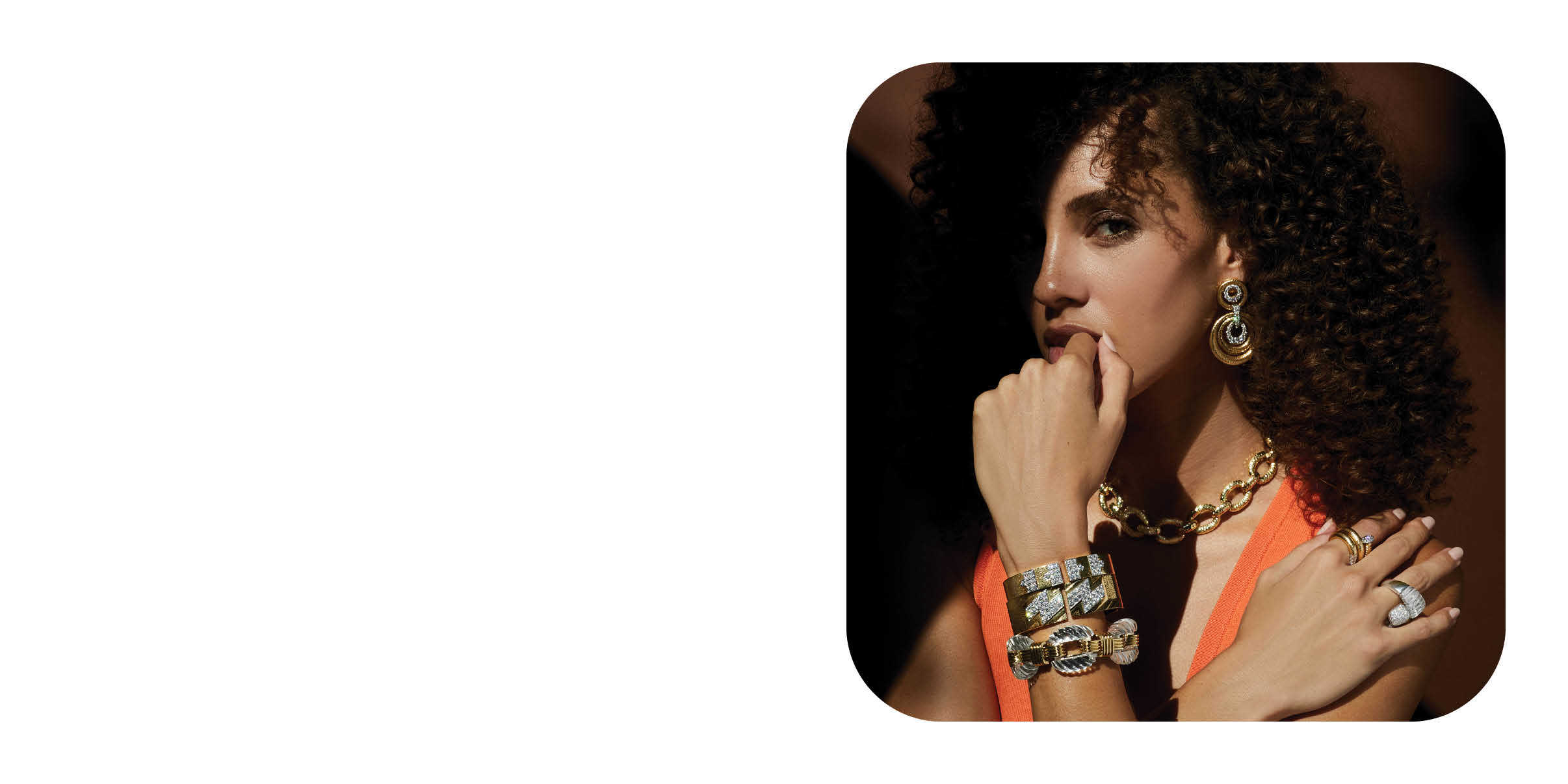 David Webb Designer Banner David Webb Designer Page Banner