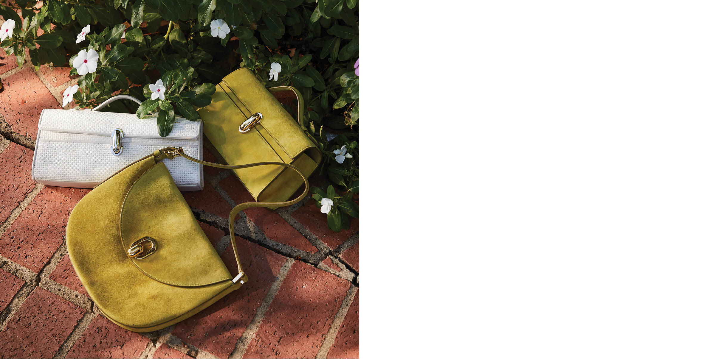 Savette Designer Handbag Collection