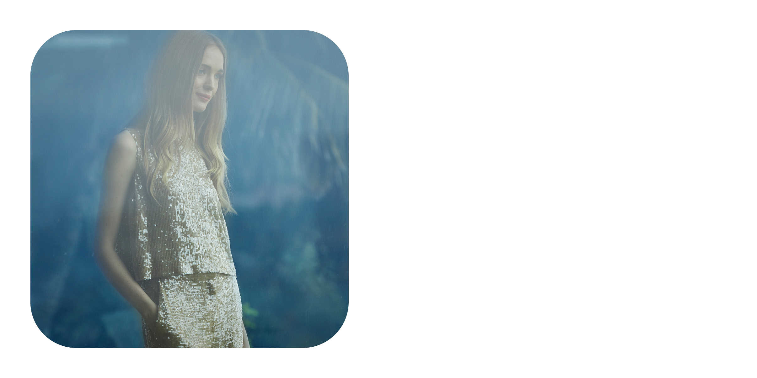 Sally LaPointe Spring 2020