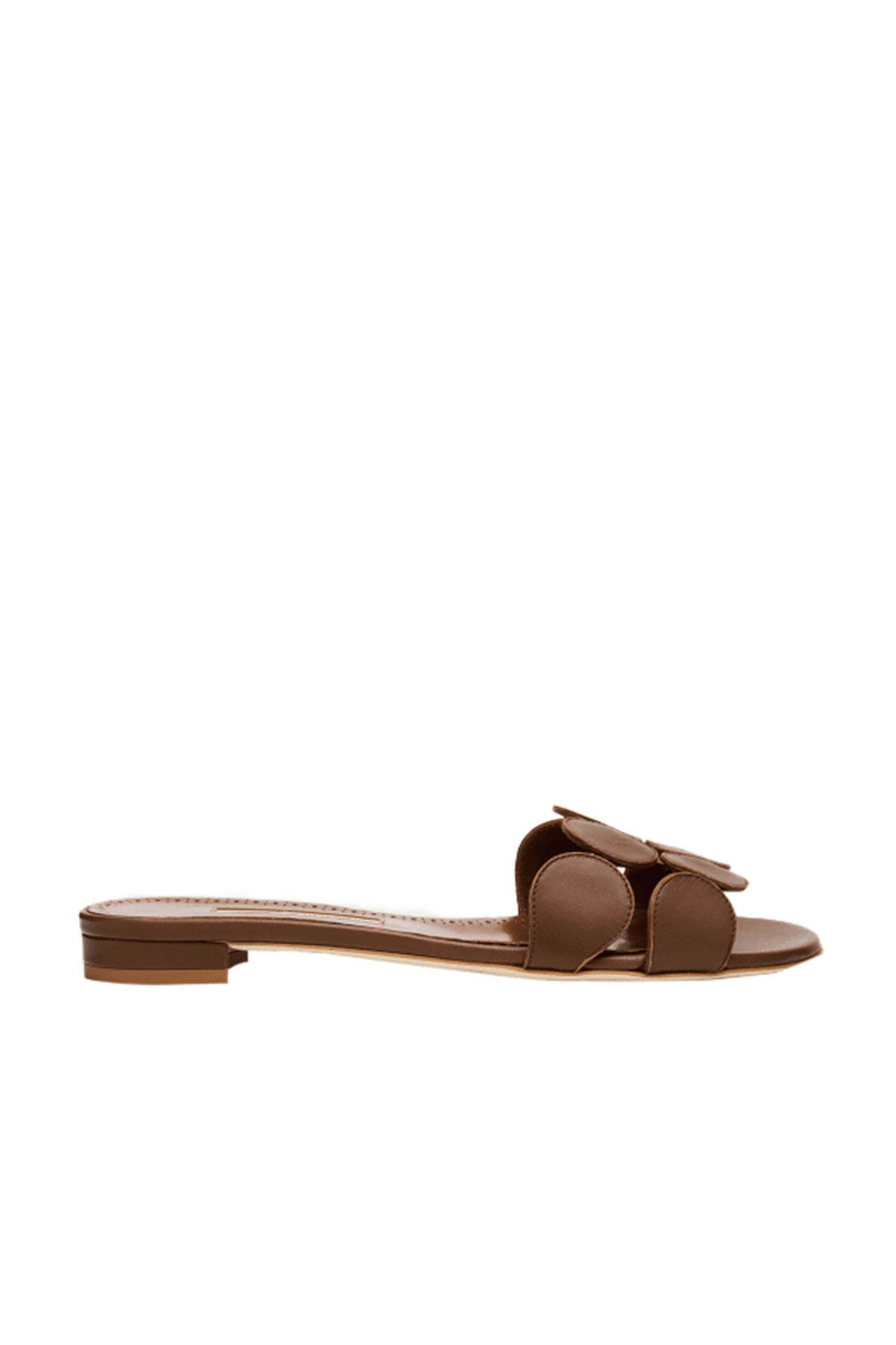 Manolo Blahnik - Haribal Circle-Cut Slide in Dark Brown