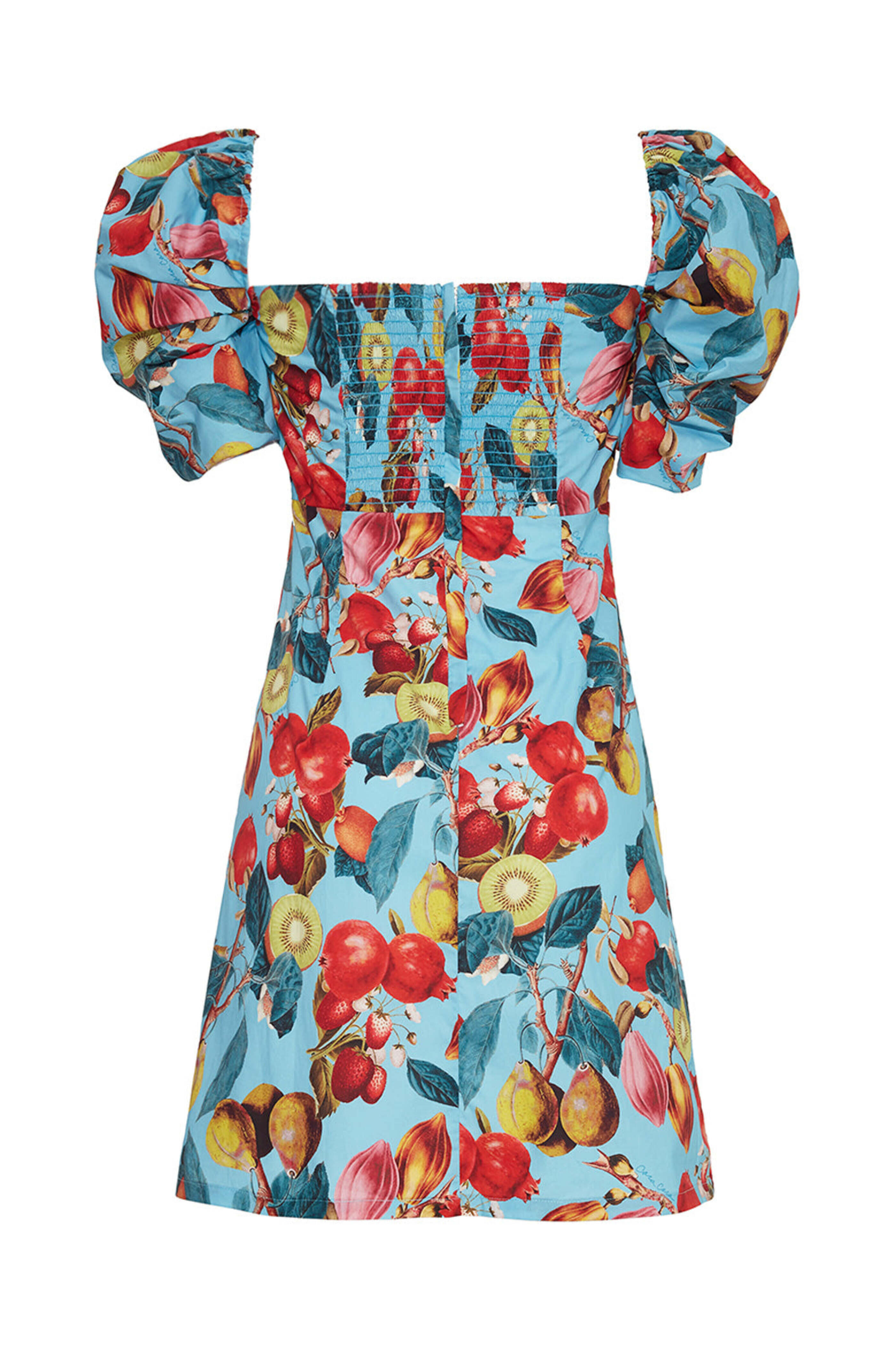 Cara Cara - Blue Fruit Print Kelly Mini Dress - view 2