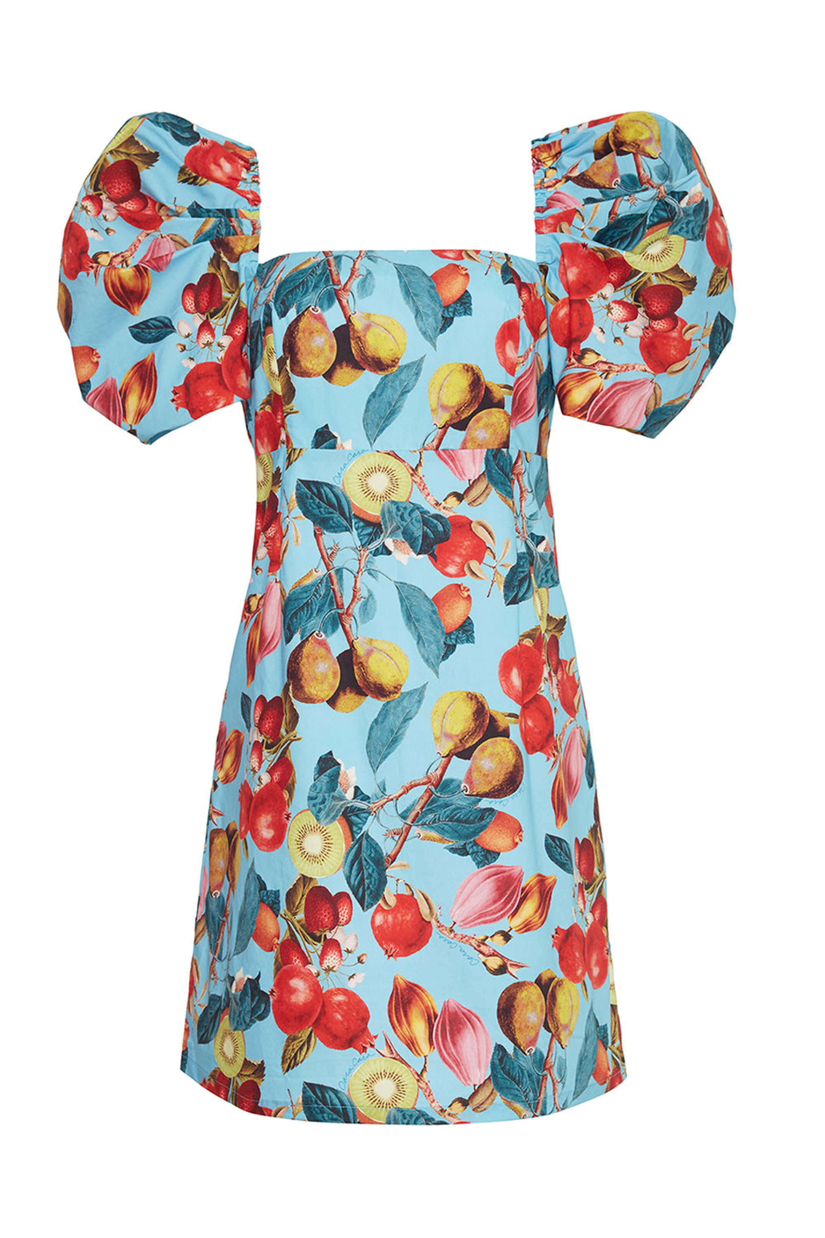 Cara Cara - Blue Fruit Print Kelly Mini Dress - view 1
