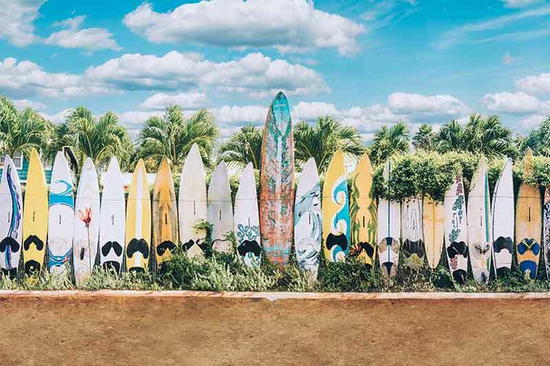 Hawaii Surf Boards 