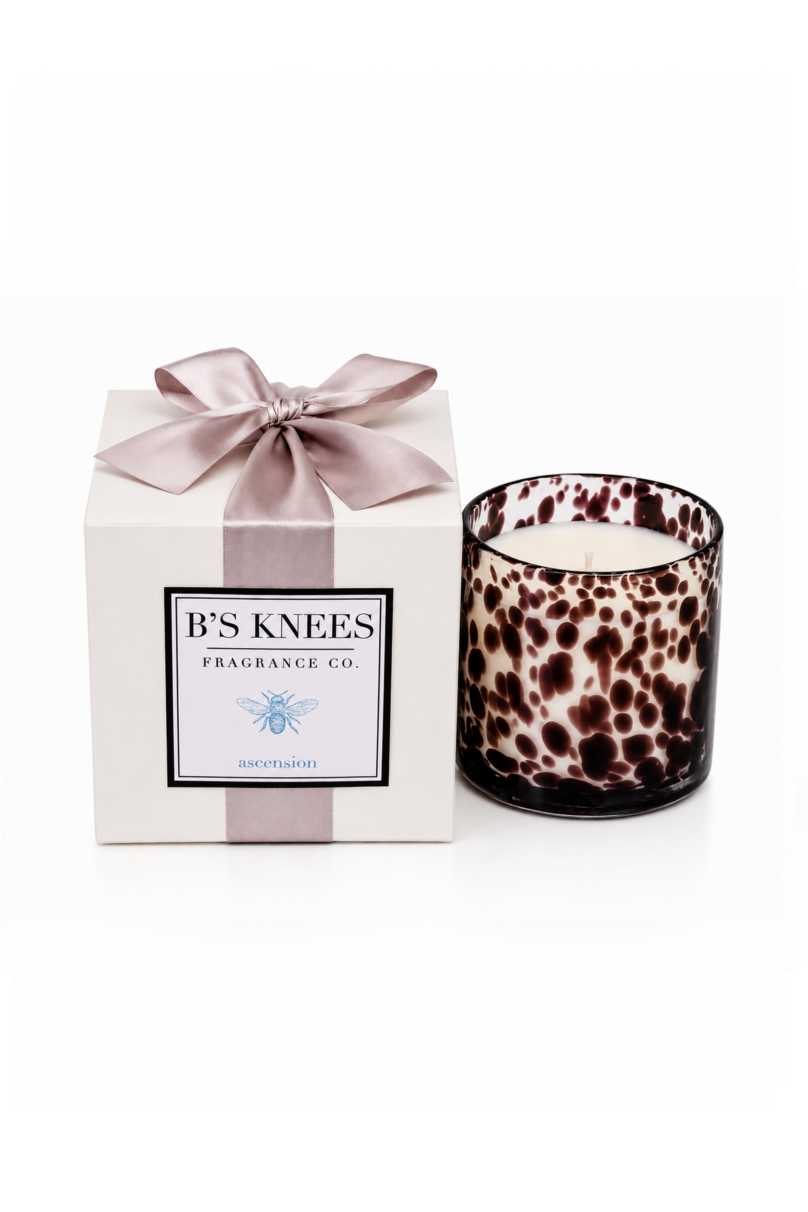 B'S Knees - Ascension Purple Tortoise Two Wick Candle - view 1