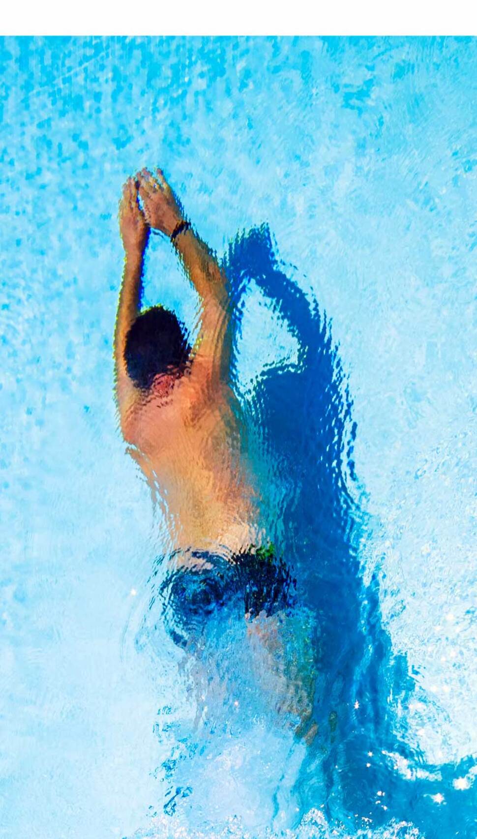 Shop New Swimwear Dive In