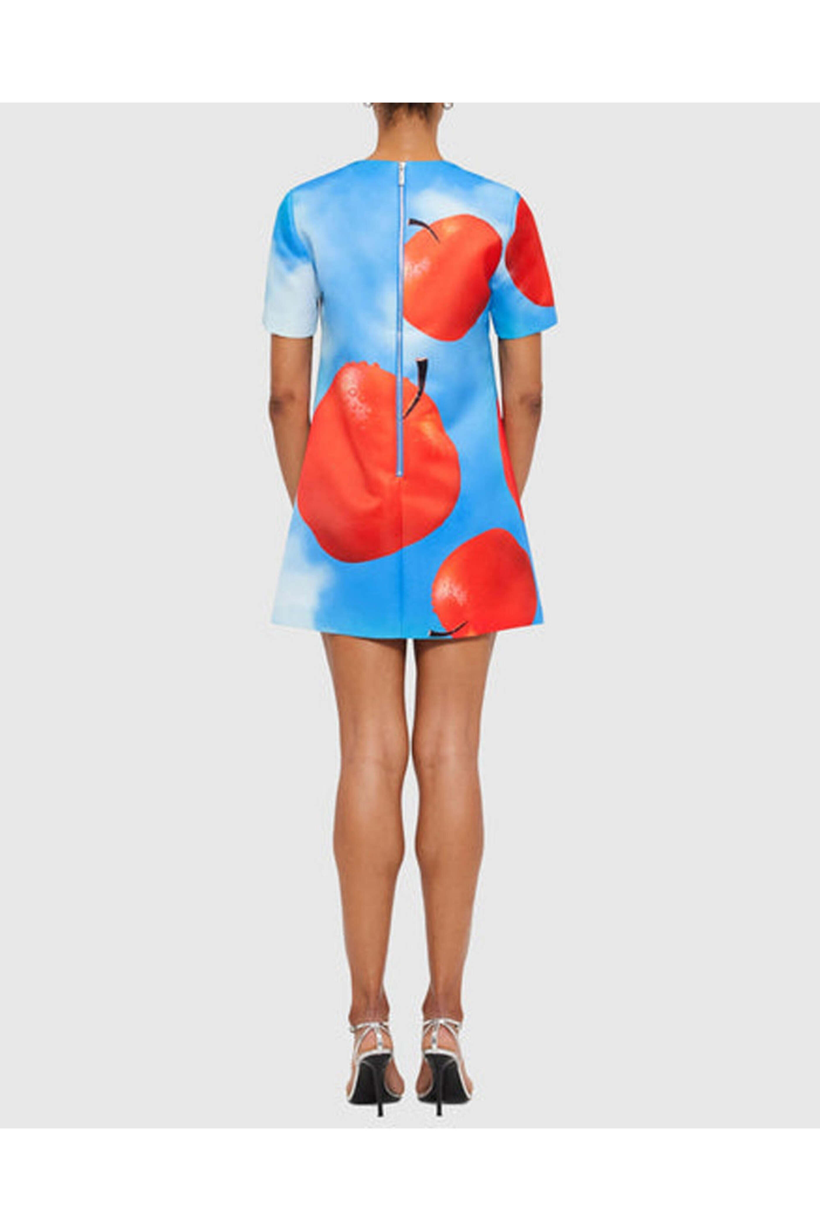 Leo Lin - Apple Print Alexa Mini T-Shirt Dress