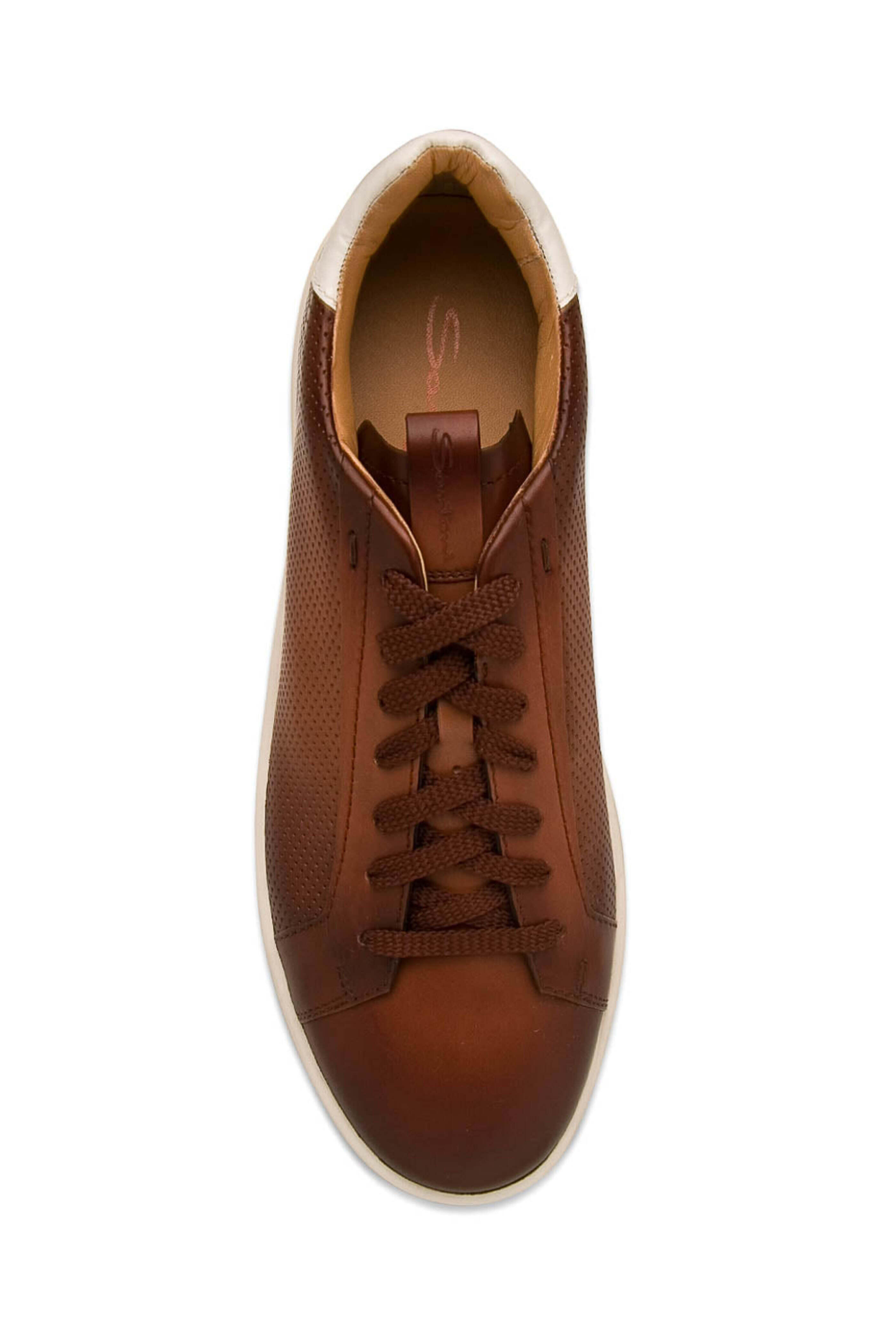 Santoni - Burgle Perforated Sneaker in Brown