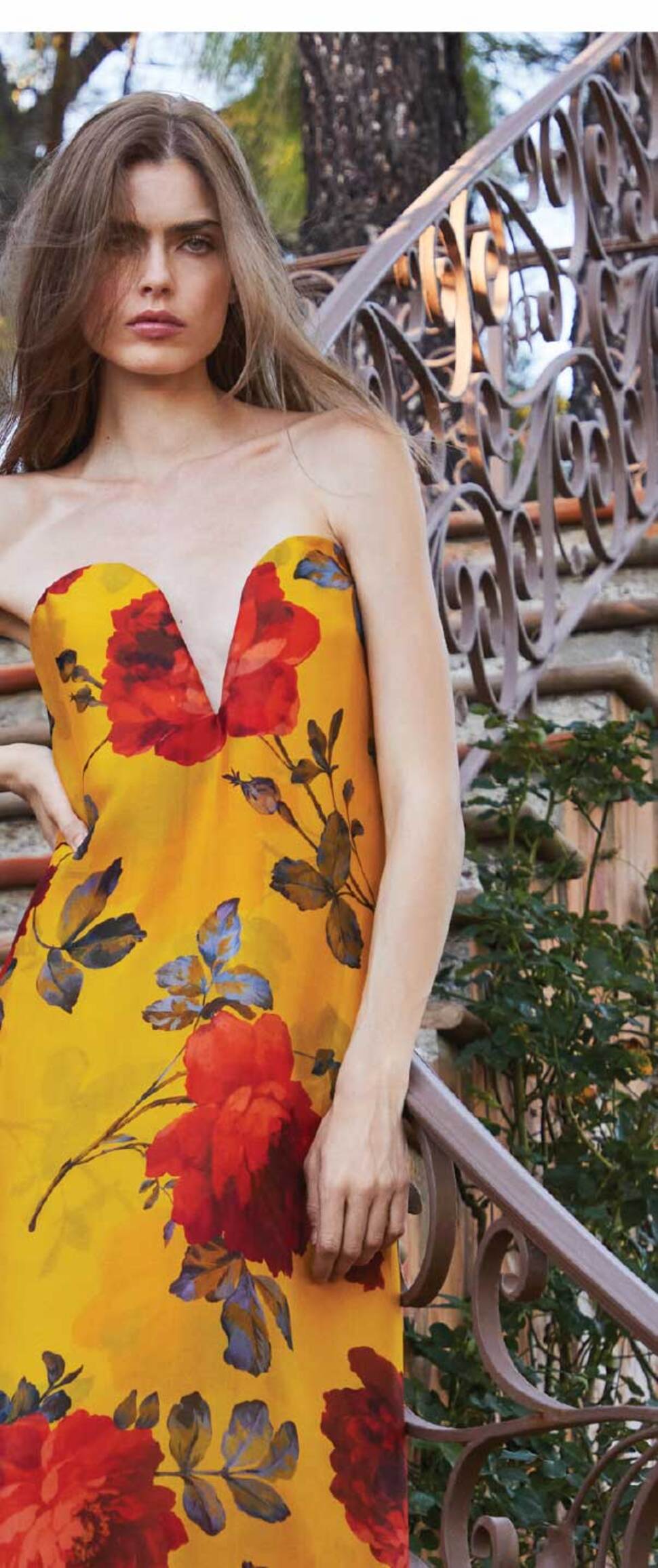Shop the Evening Edit