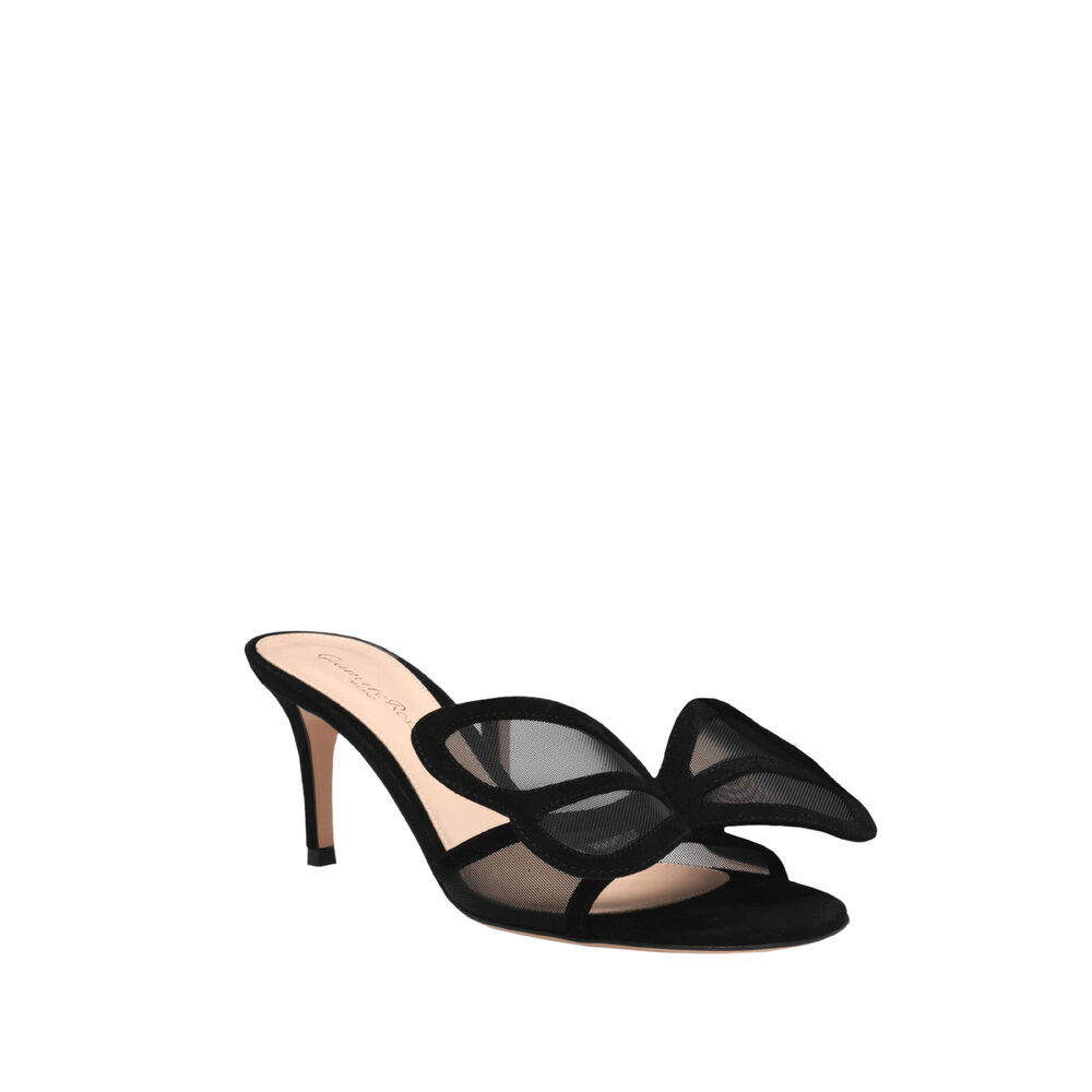 gianvito-ilia-camoscio-rete-s-
