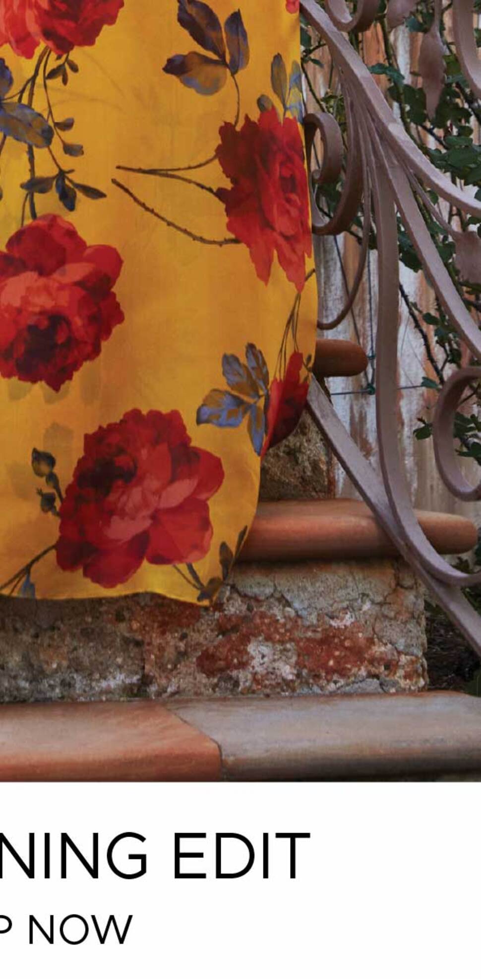 Shop the Evening Edit