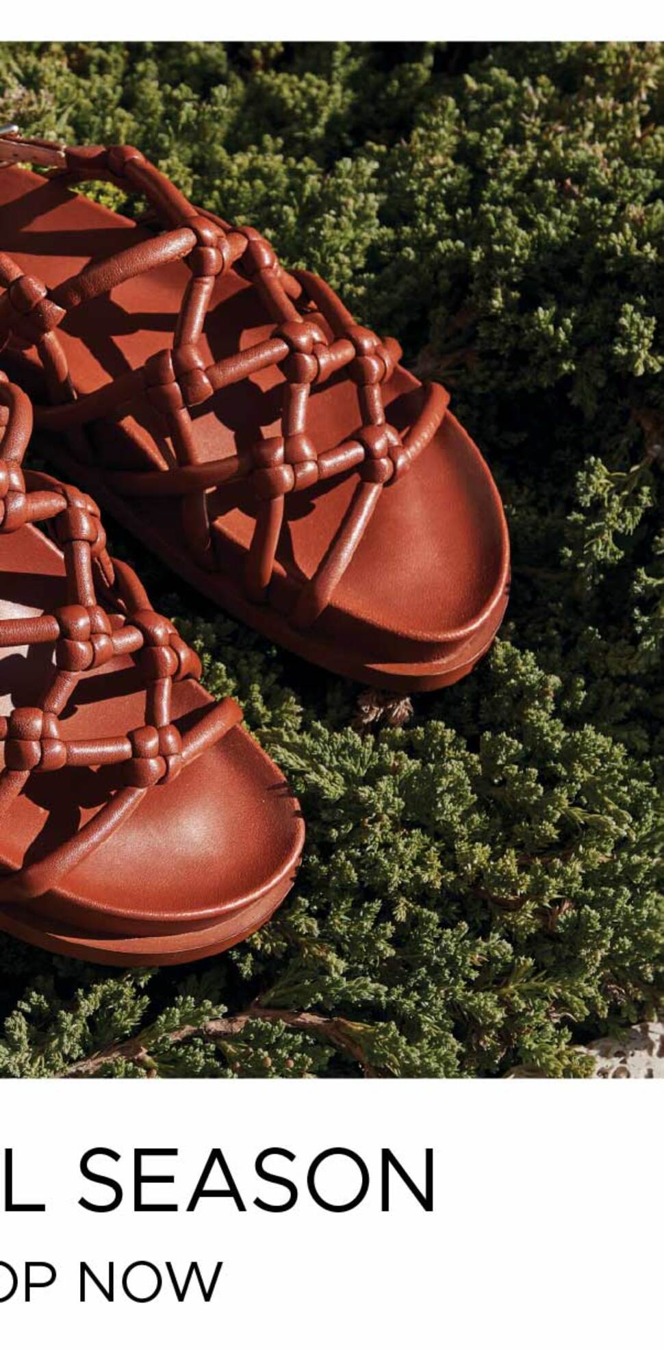 Shop New Shoes