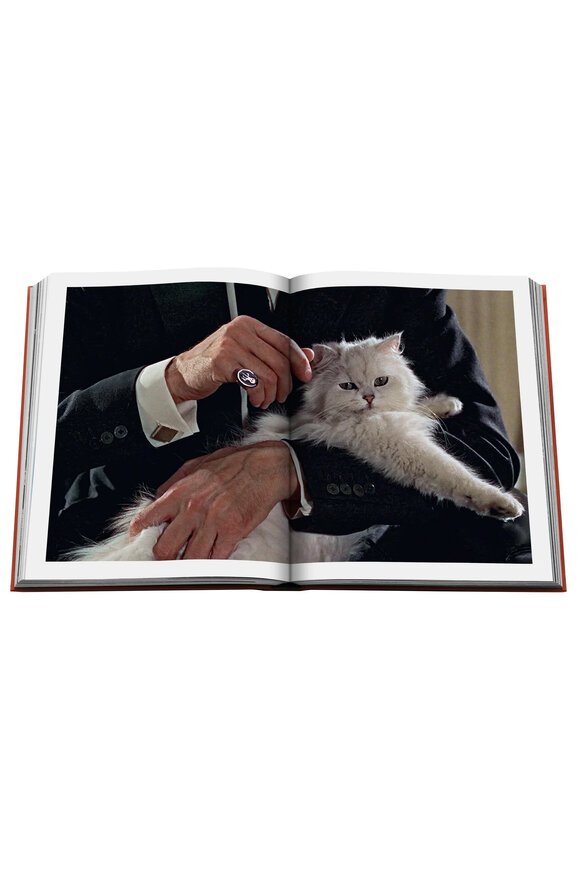 Assouline Chic Cats - view 4