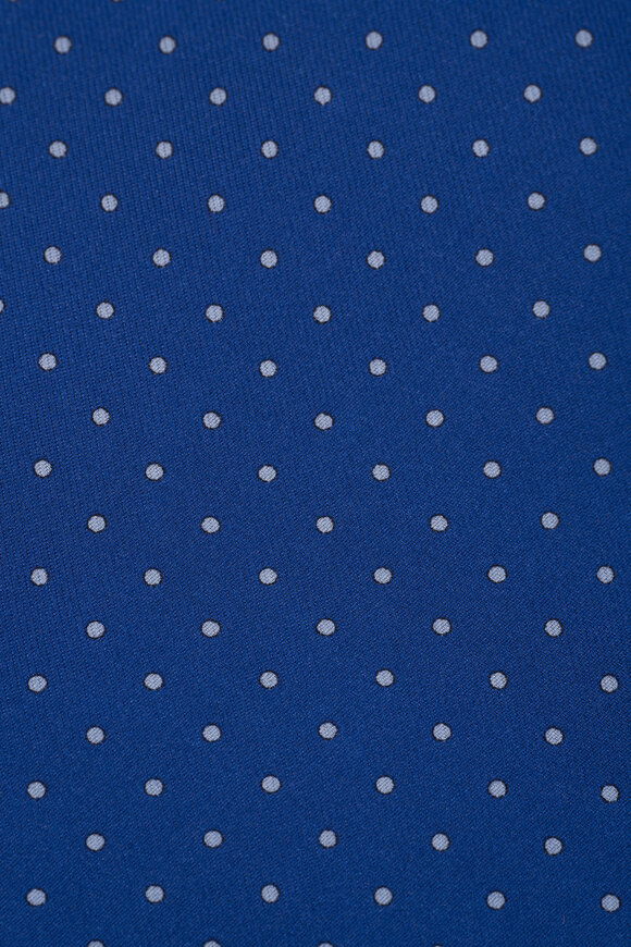 Ferragamo - Blue & White Polka Dot Silk Necktie 