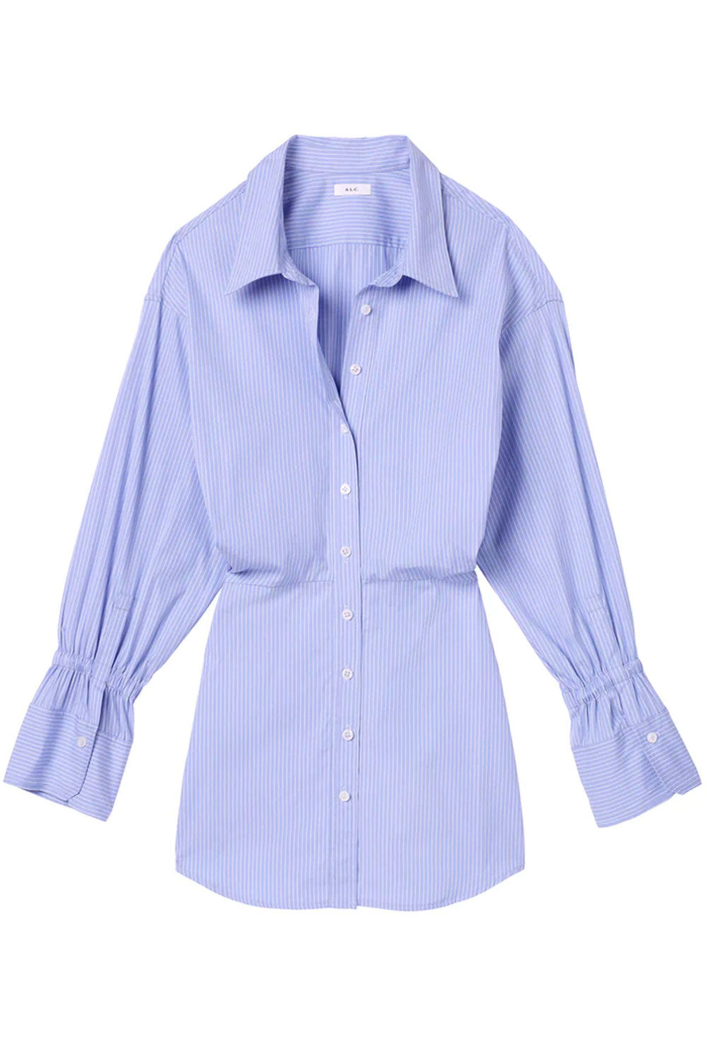 A.L.C. - Blue and White Monica Dress