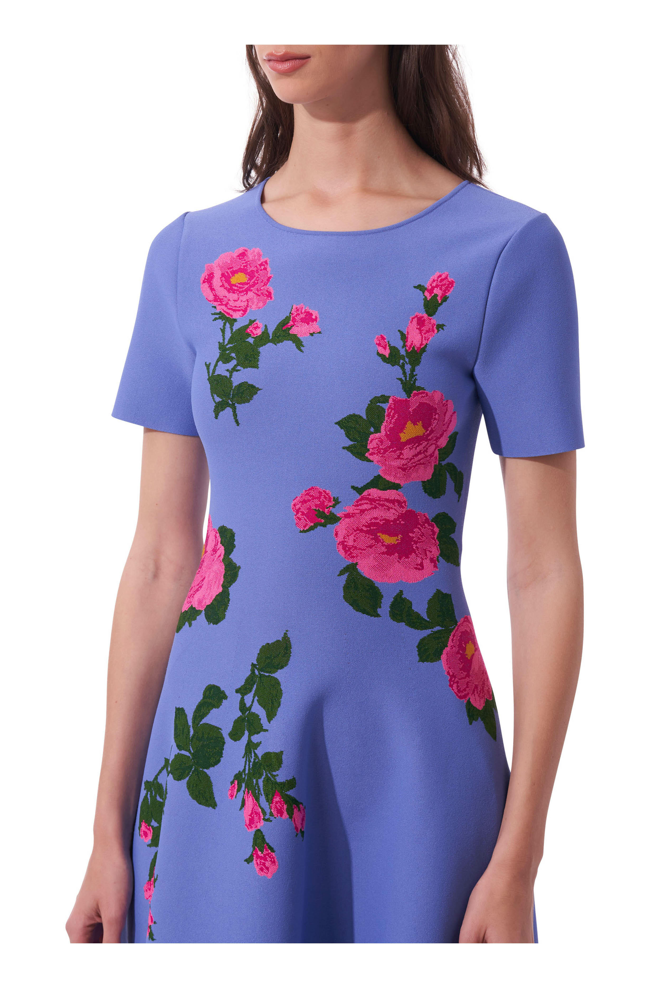 Carolina Herrera Printed Floral Fit and Flare Cotton Dress outlets 8