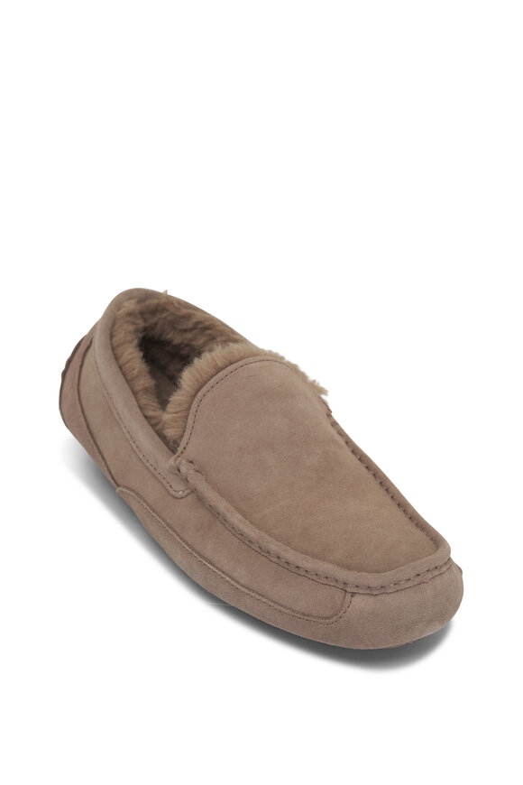 Ugg - Ascot Caribou Suede Shearling Slipper