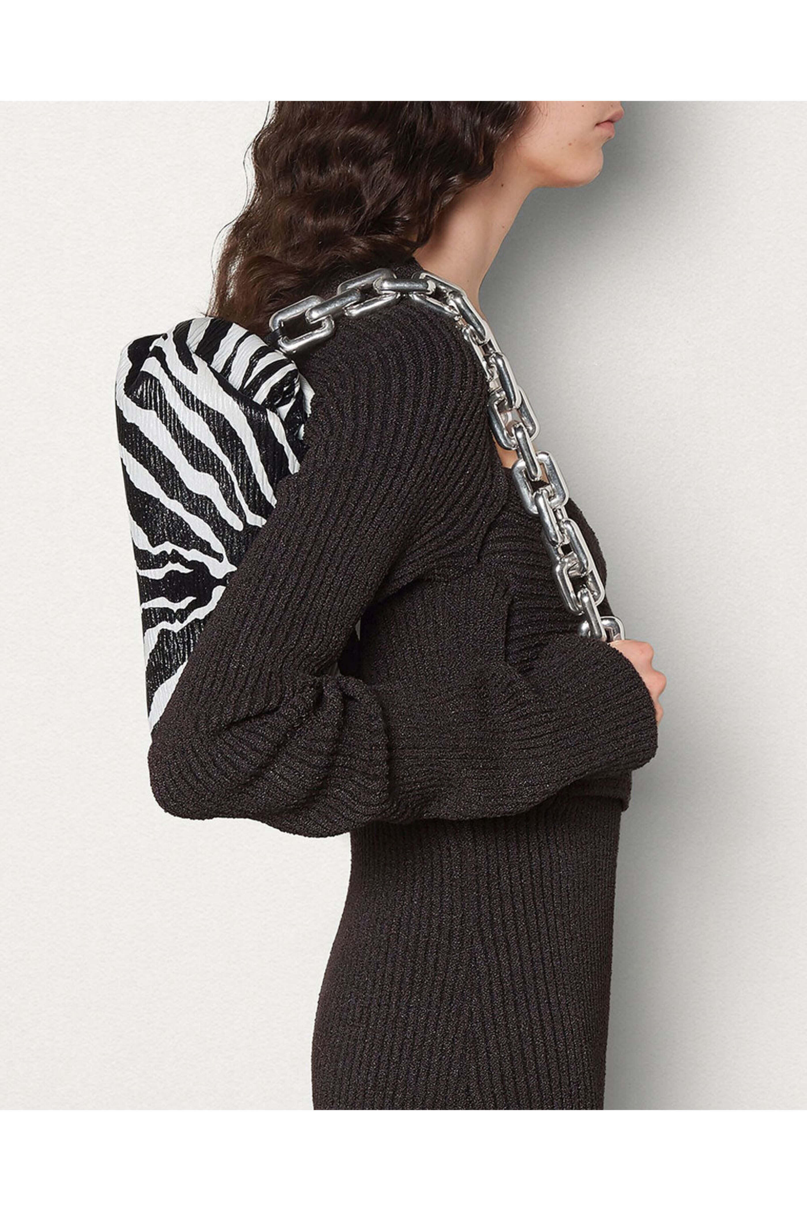 Bottega Veneta - Zebra Chain Pouch