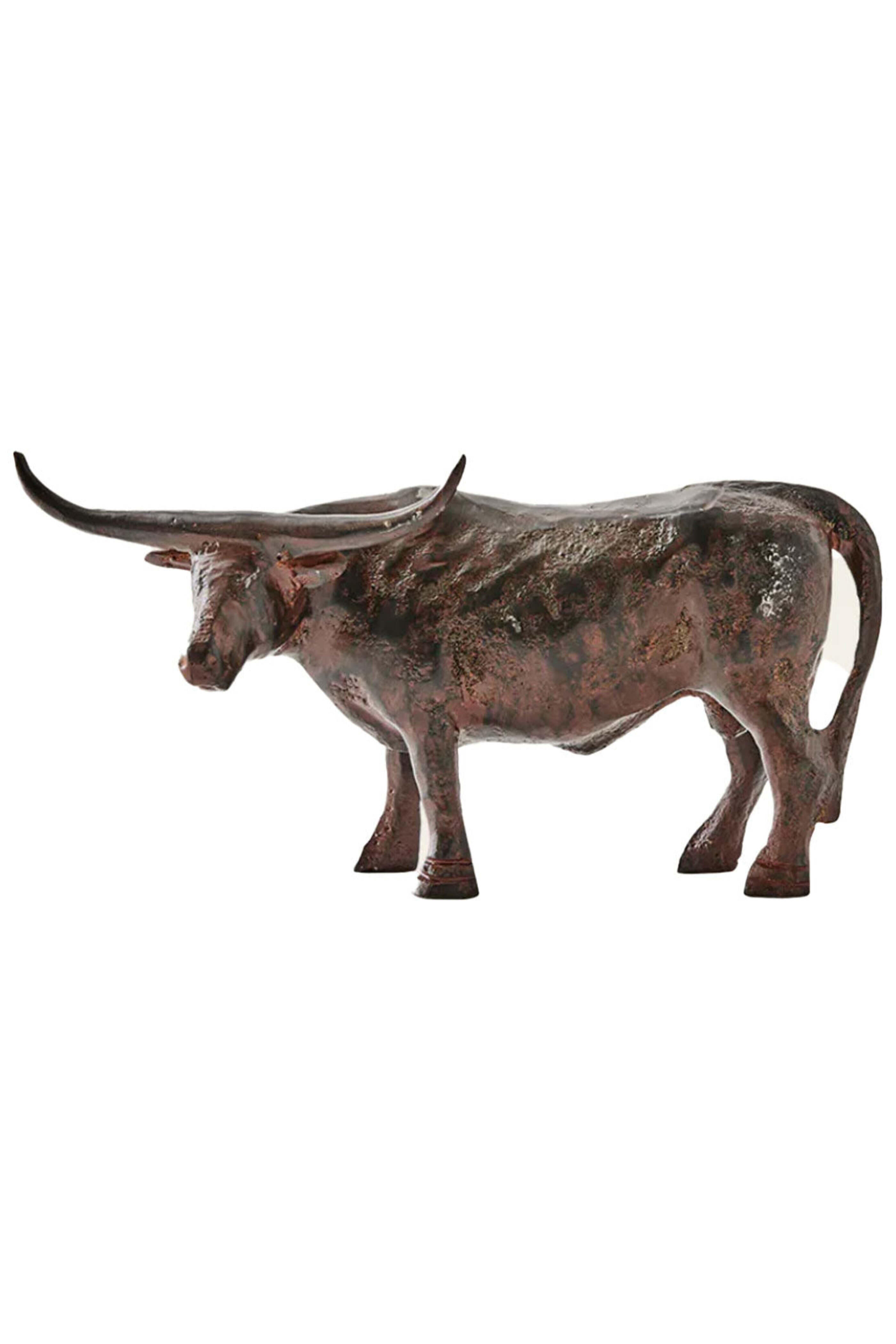 Jan Barboglio - Cuerno Largo Toro Animal Natural