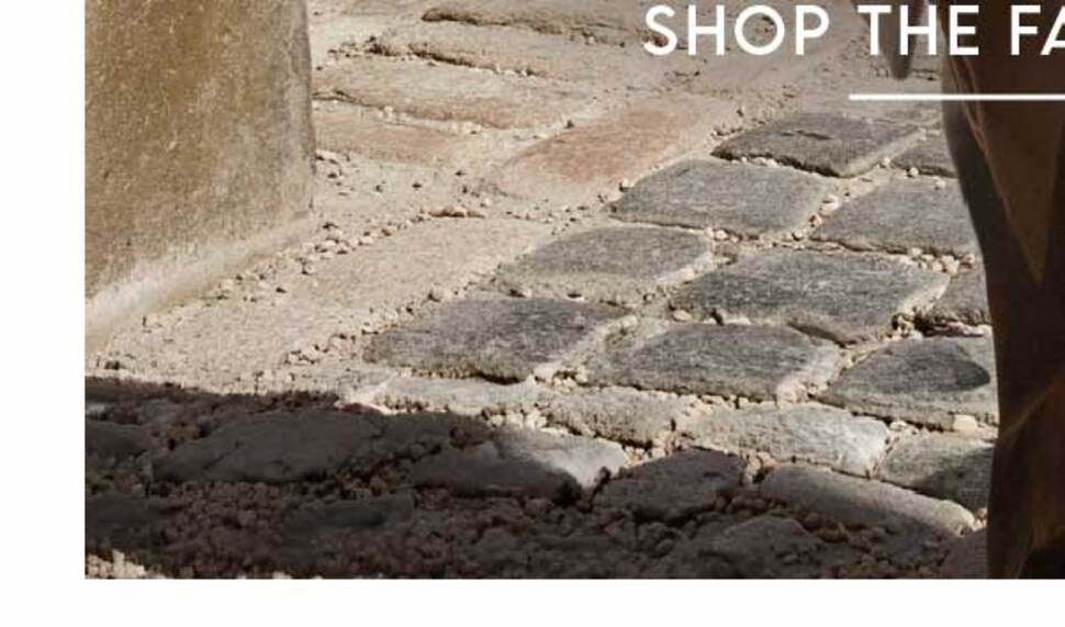 New Brunello Cucinelli 