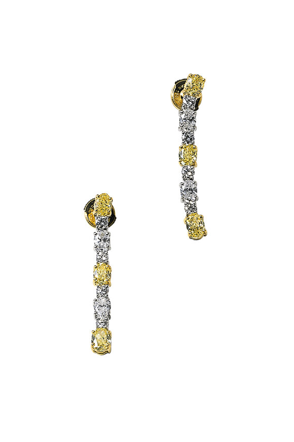 Bayco - 18K Gold & Platinum Fancy Diamond Drop Earrings