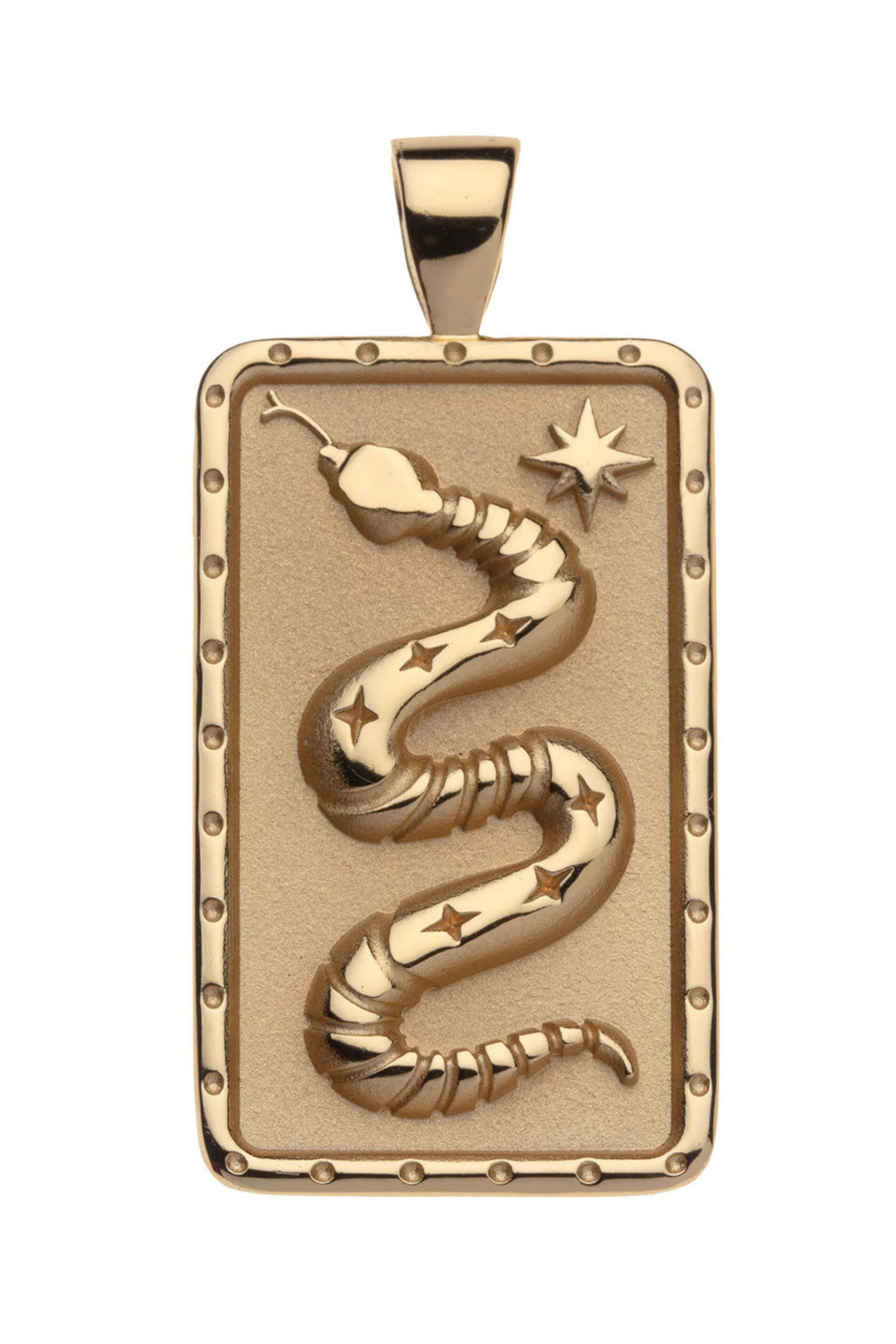 Jane Win - Protect Dog Tag Snake Pendant Rolo Chain Necklace