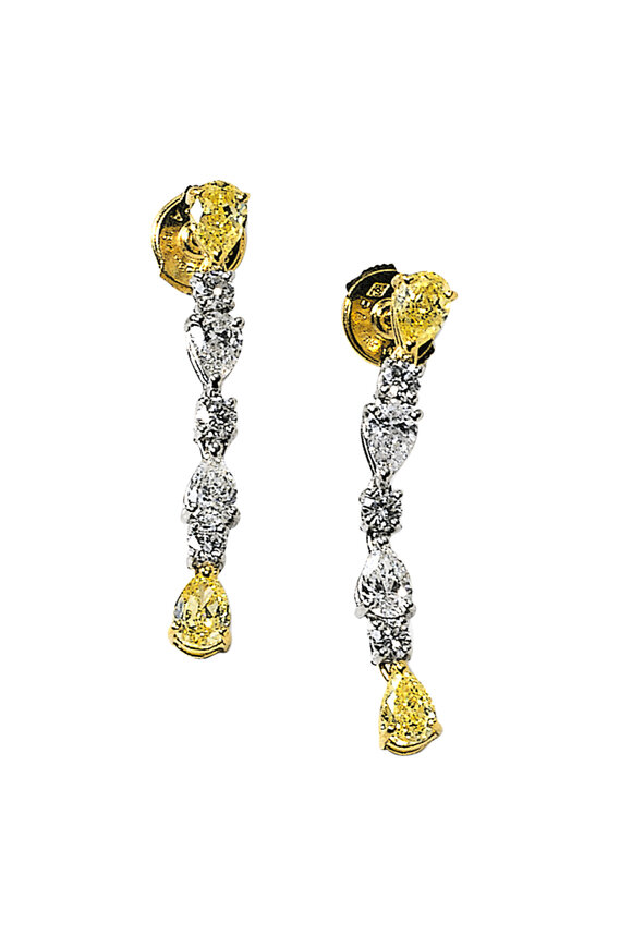 Bayco - 18K Gold & Platinum Fancy Diamond Drop Earrings
