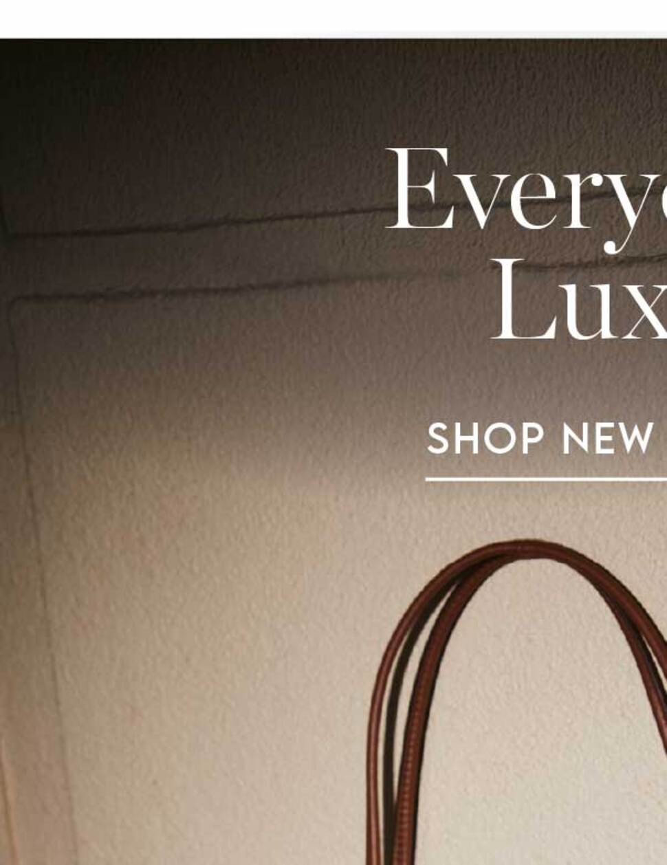 Everyday Luxe 