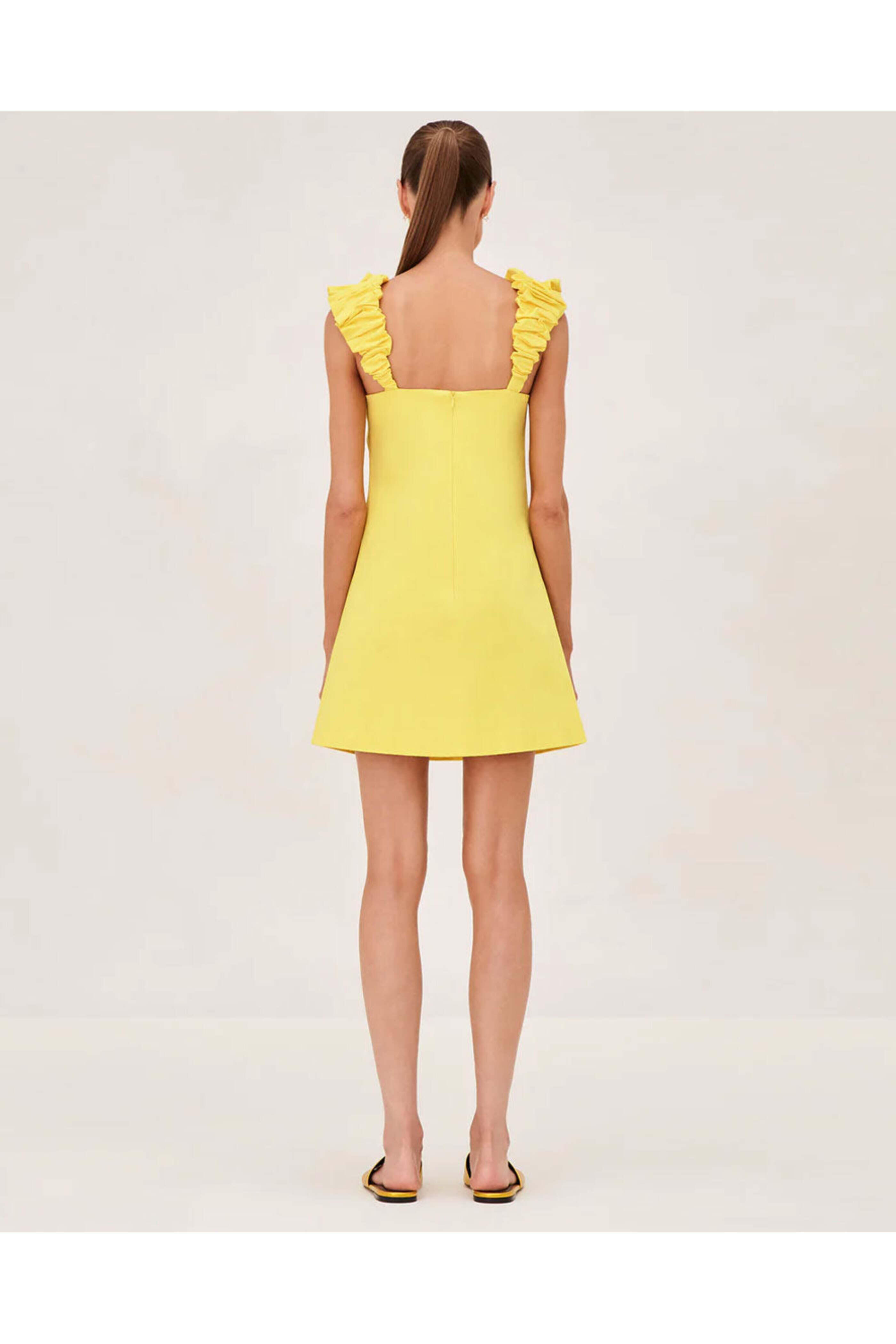 Alexis - Braxton Yellow Mini Dress