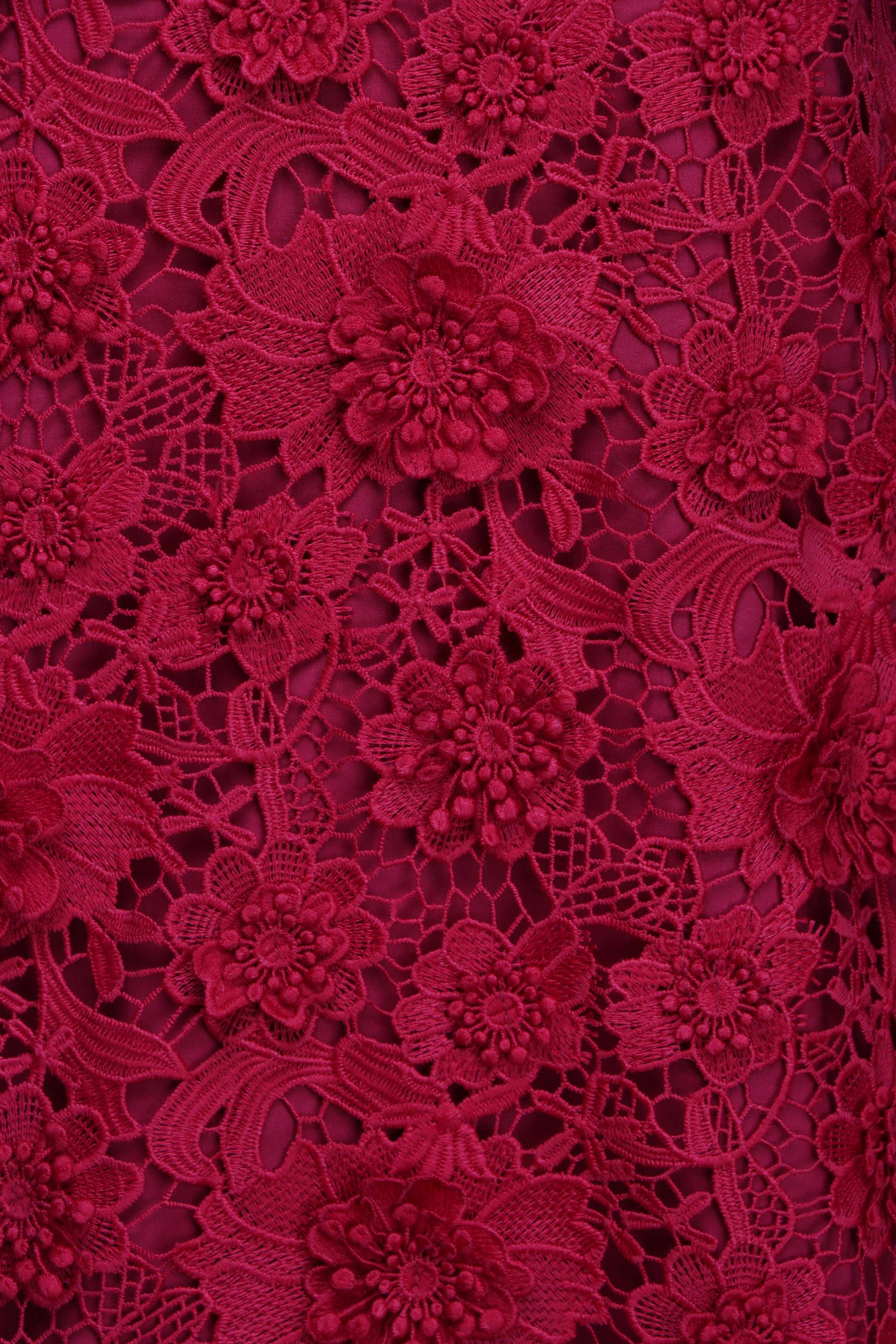 Leo Lin - Lingyu Garnet Lace Mini Dress