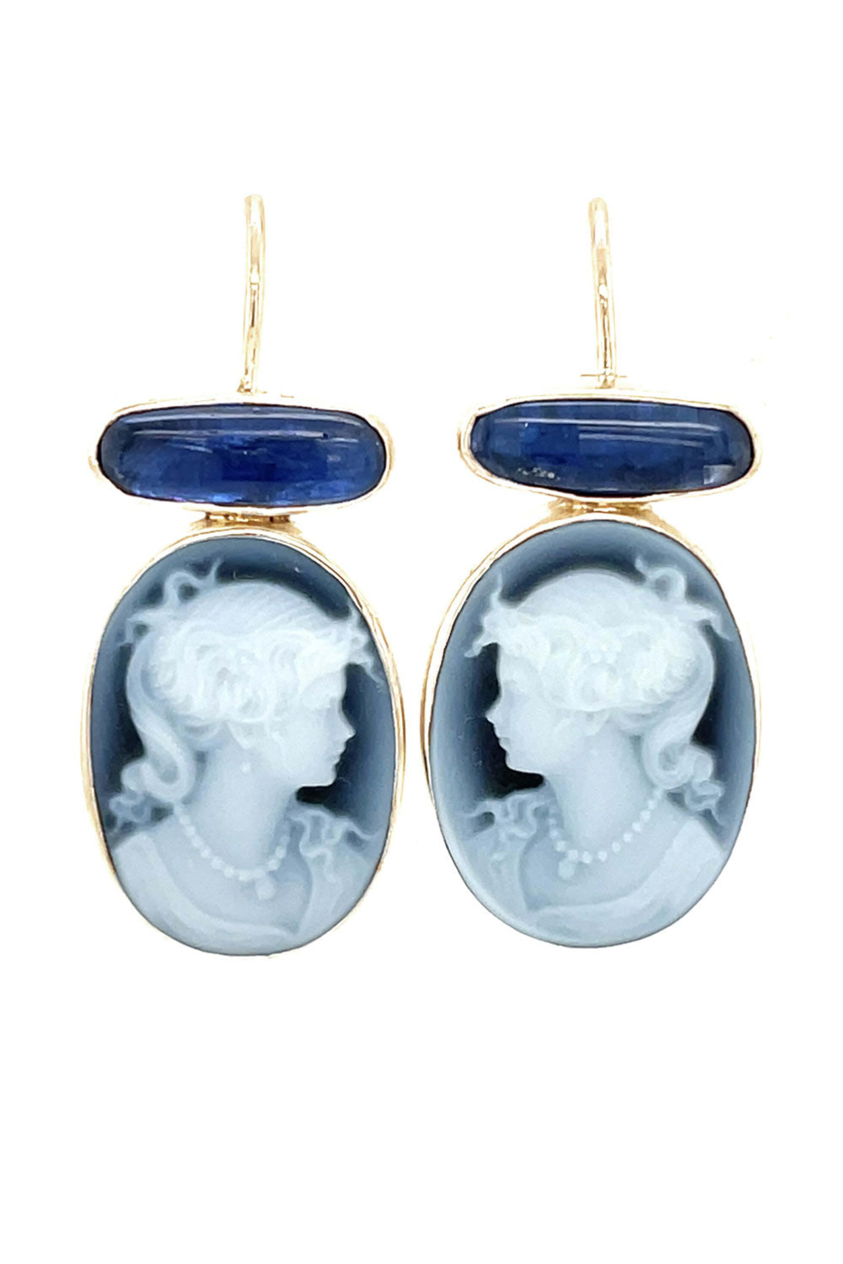 Ellen Hoffman - Blue Onyx and Kyanite Earrings