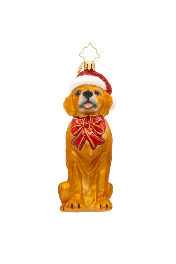 Christopher Radko Golden Paws Pal Ornament