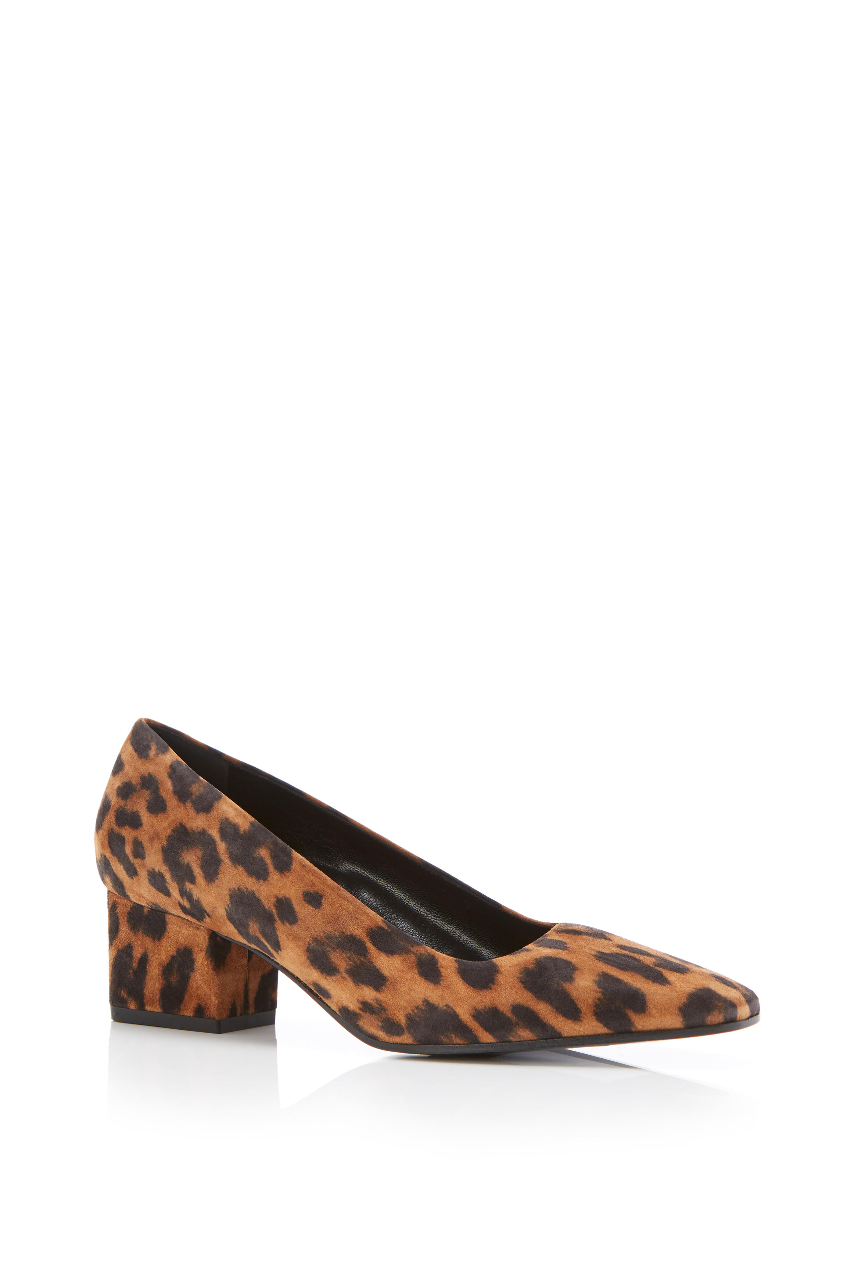 【PORTERNA】Antique Leopard Pumps Midnight Velvet Leopard Print Pump | ASHRO