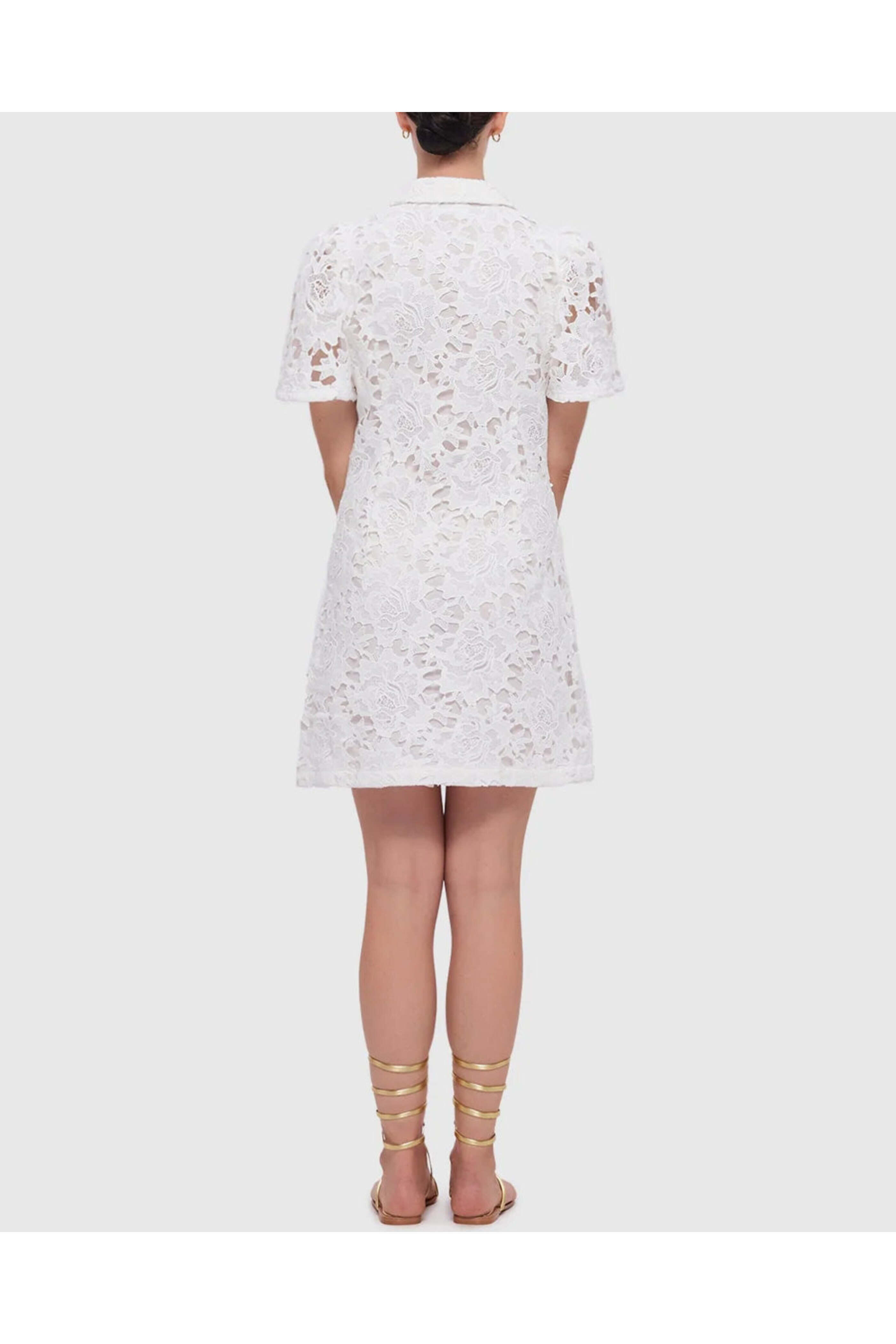 Leo Lin - Snow Brooke Lace Mini Dress