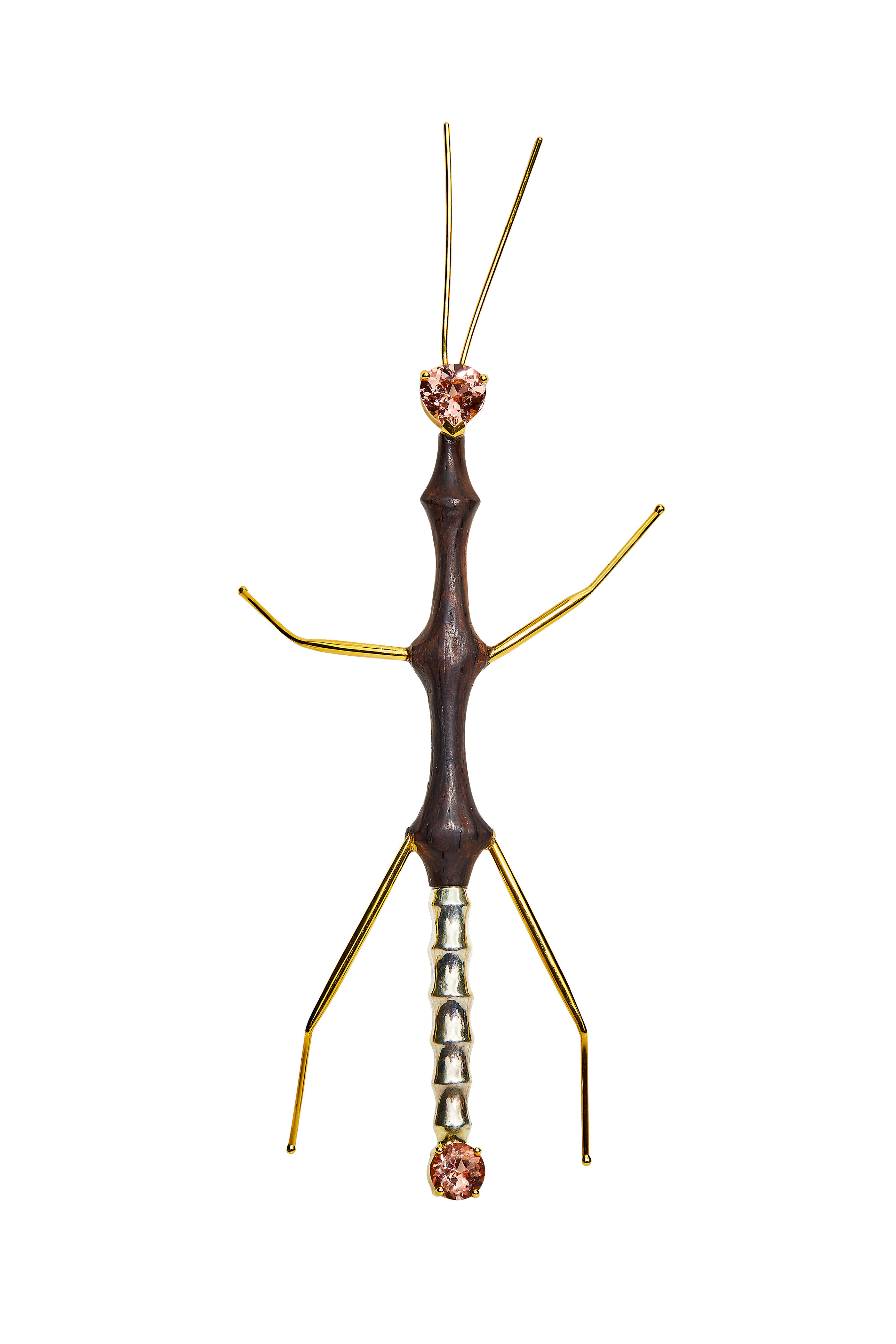 K. Brunini Jewels - Garnet & Cocoblo Wood Stick Bug Pin