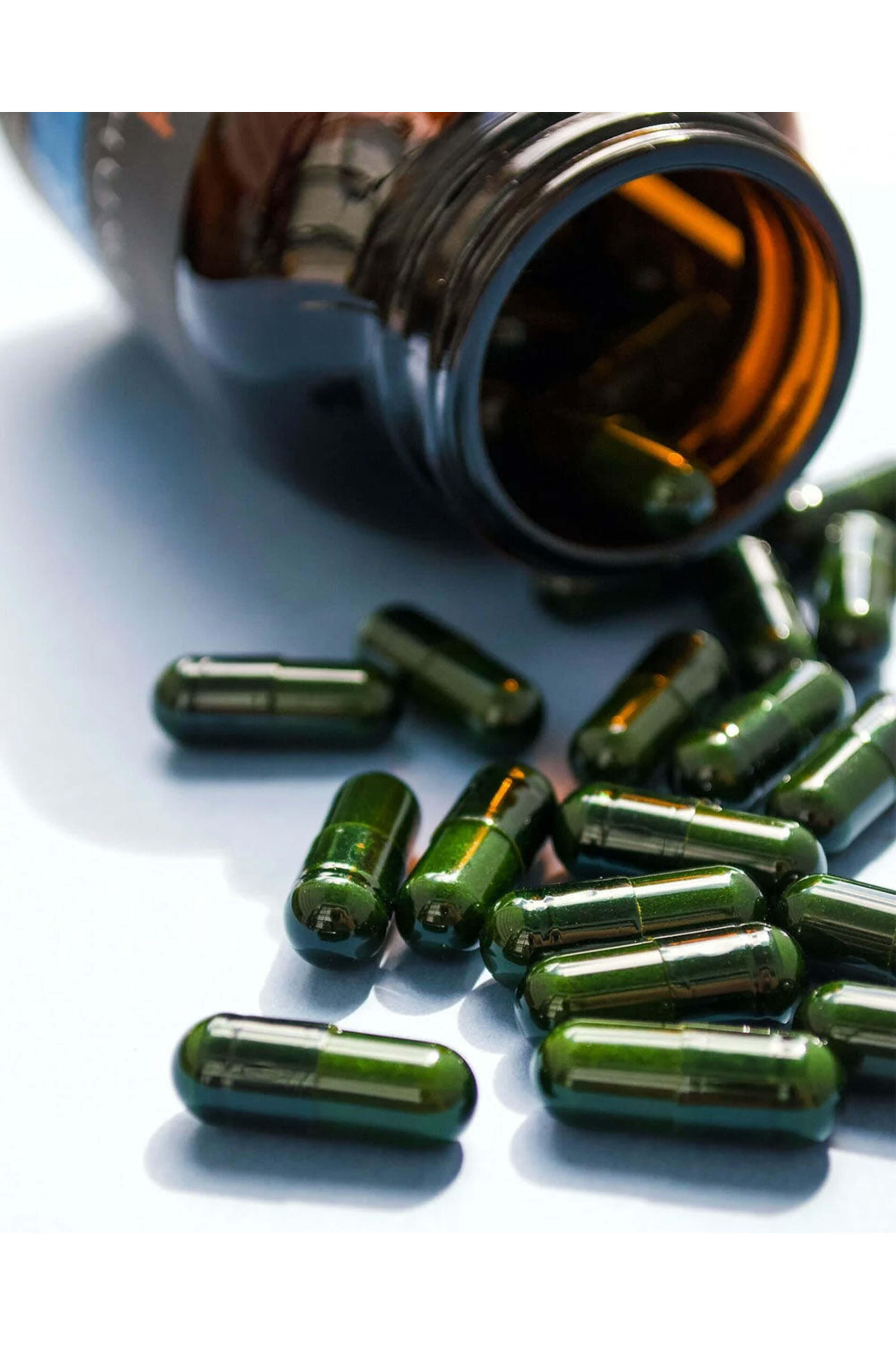 Hush & Hush - Shield Up