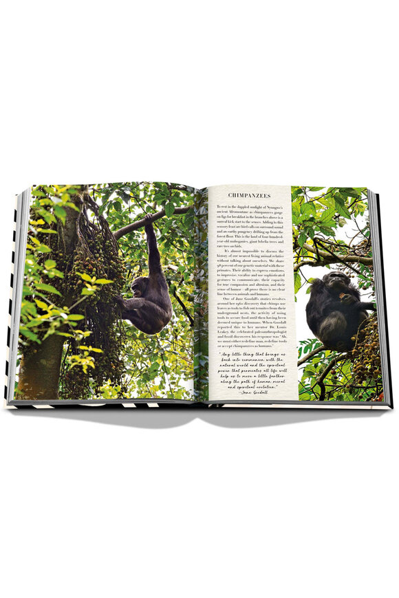 Assouline African Adventures: Greatest Safari On Earth - view 5