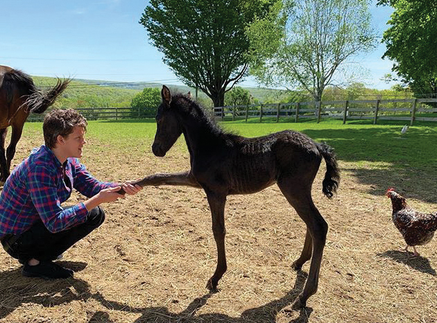 Wes Gordon on his farm in Connecticut