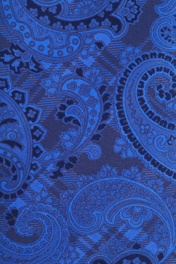 Dolce Punta - Blue Paisley Silk Necktie