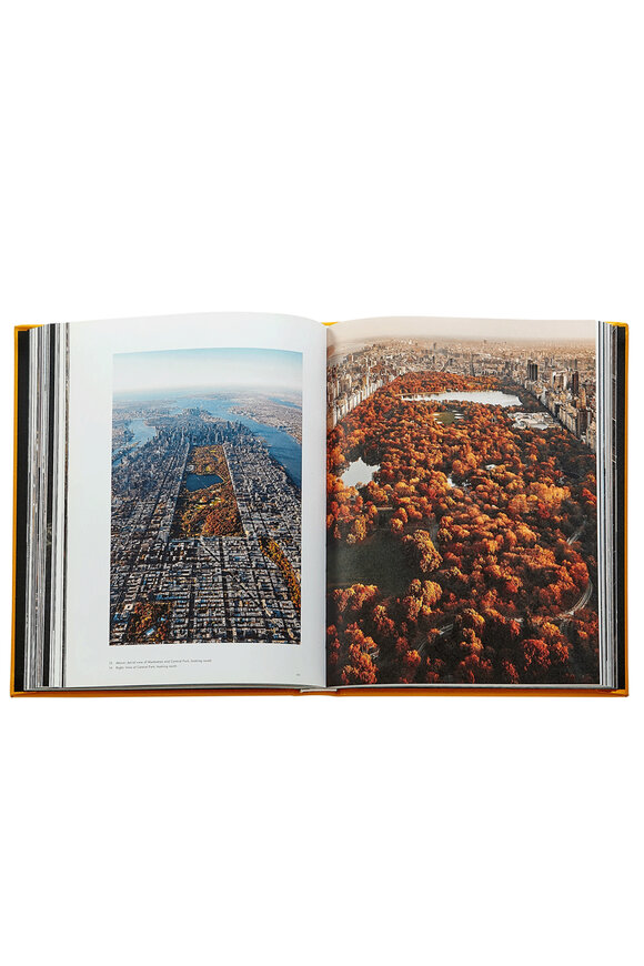 Graphic Image Troupe New York - view 4
